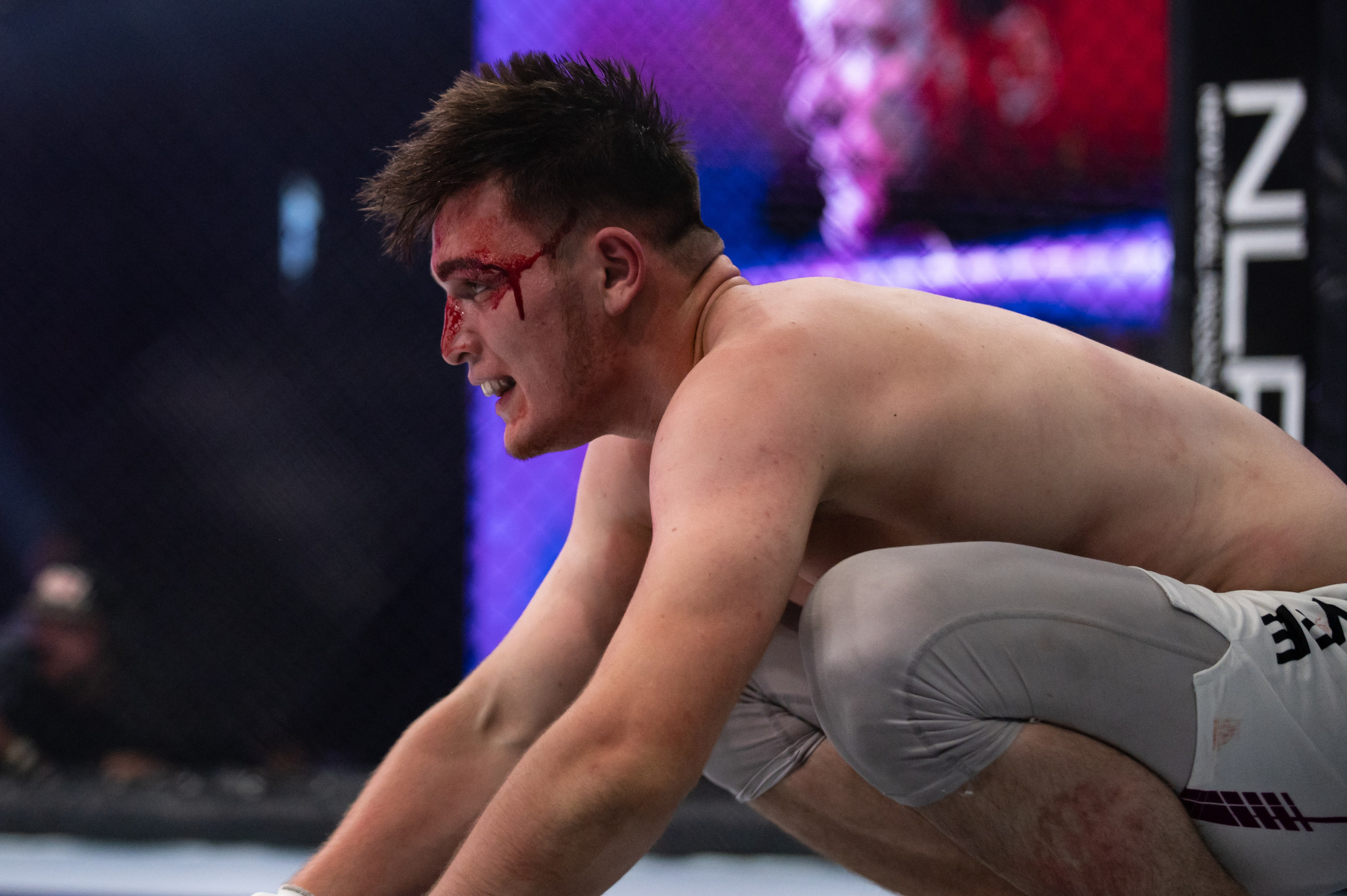 Бои. Репортажный фотограф в Красной Поляне и Сочи Павлюченко Екатерина