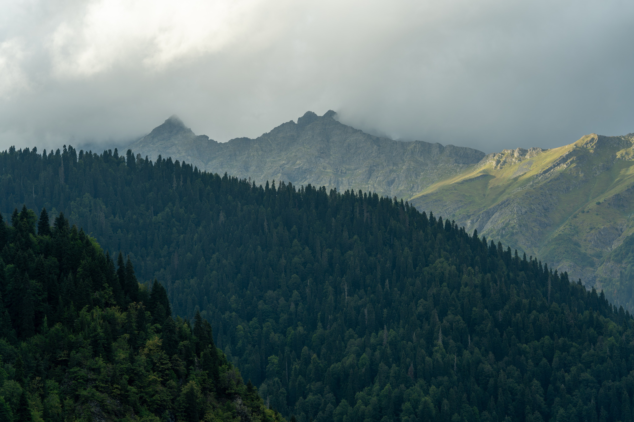 MICE мероприятие — тур по Абхазии. Репортажный фотограф в Красной Поляне и Сочи Павлюченко Екатерина