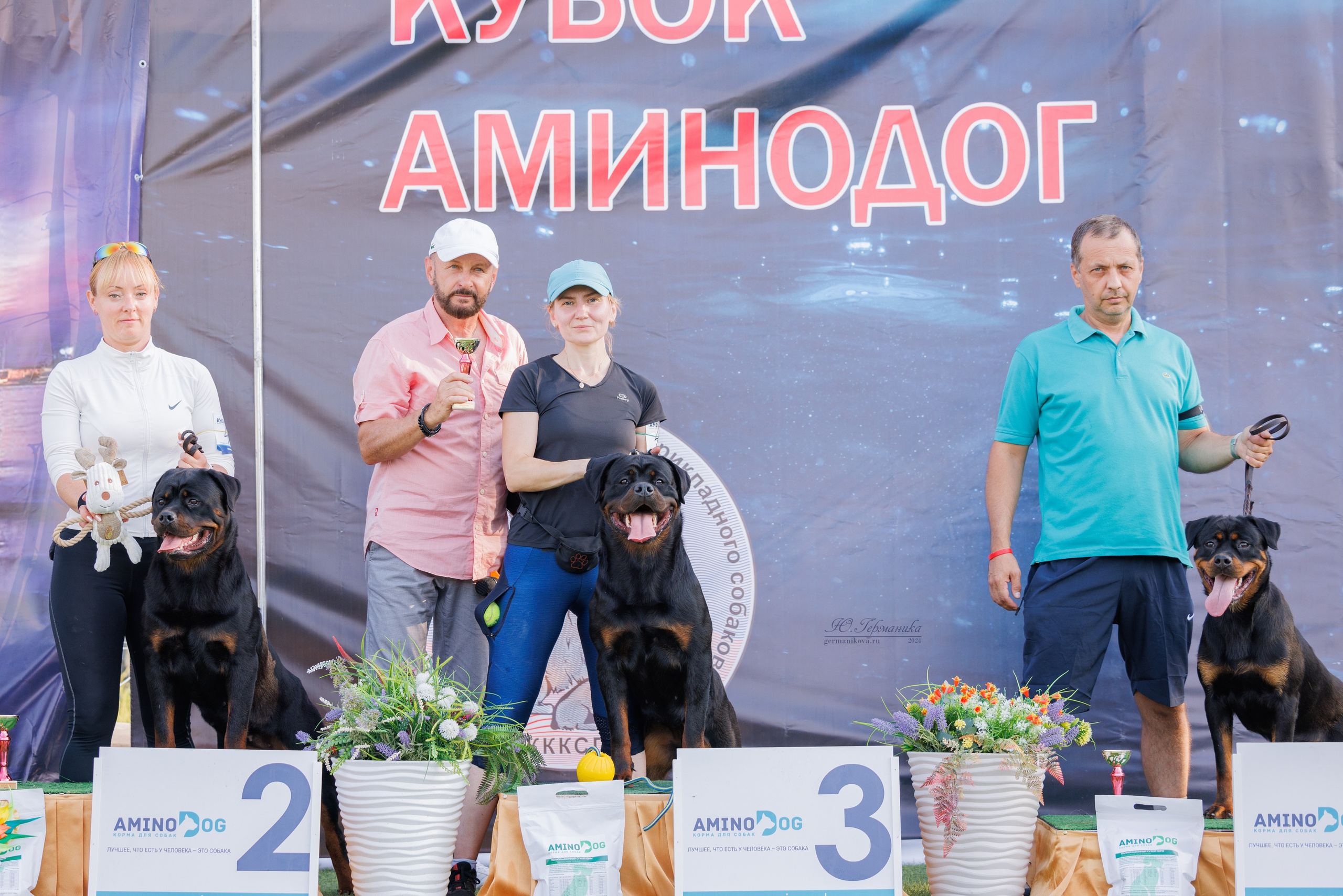 Анапа ротвейлеры 14-15.09.2024. Фотограф-анималист Юлия Германика