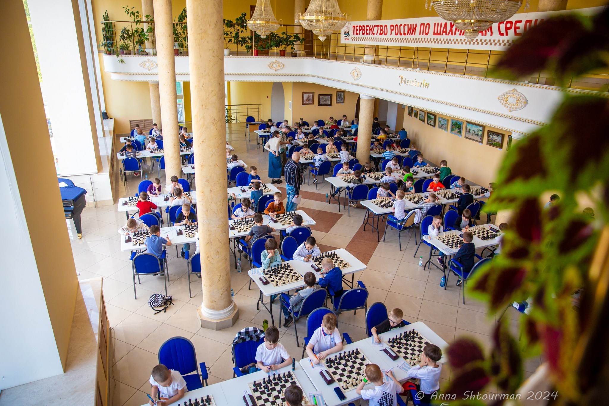 2024 Первенство России по шахматам до 9 лет (Кострома, Россия). Фотограф Анна Штурман (репортажная съёмка любых событий и мероприятий) Anna Shtourman photographer