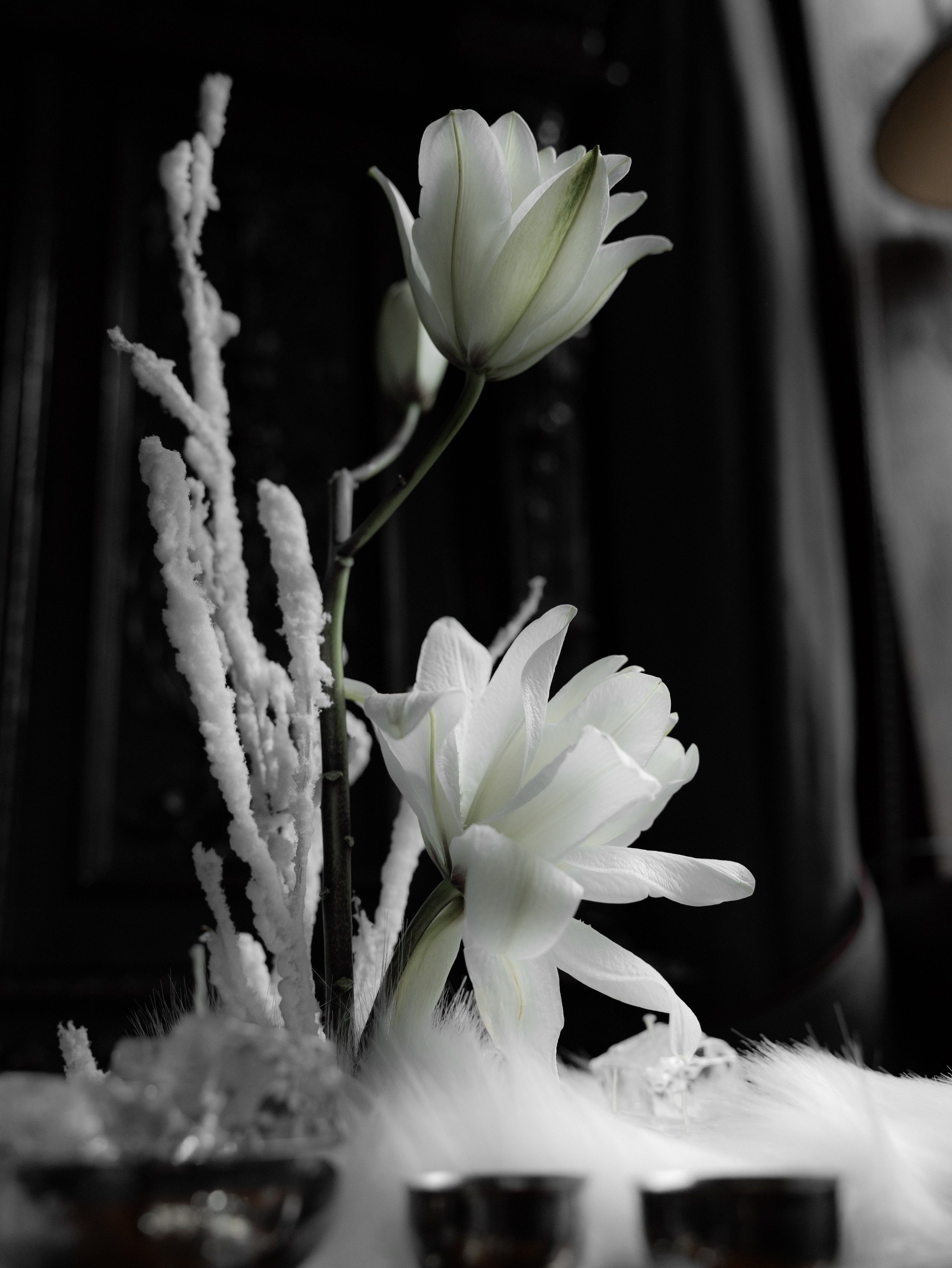 Павел и Яна. Свадебный фотограф Тула Москва СПБ / Сёмина Дарья