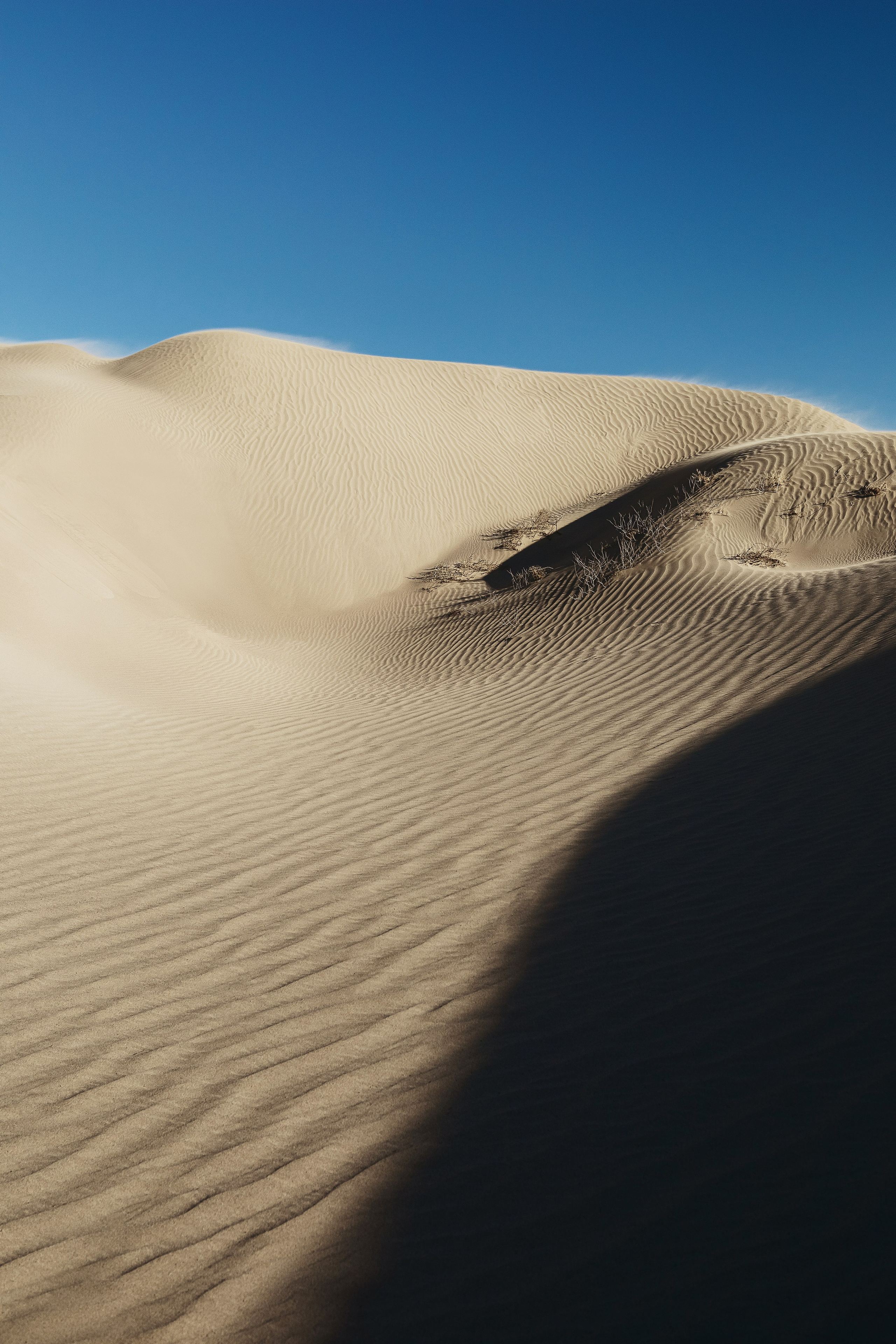Жизнь. Фотограф Алматы | Весь мир — Никита Колодин
