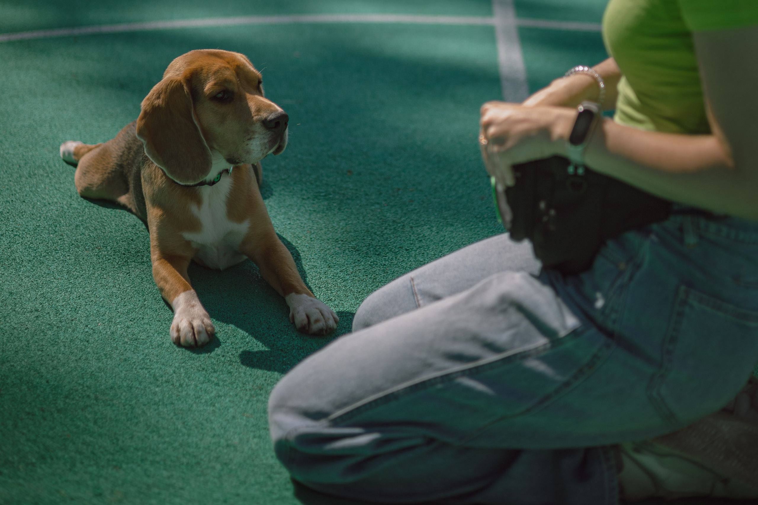 Оуджи и Катя. Фотограф — анималист •love-story•|Санкт-Петербург