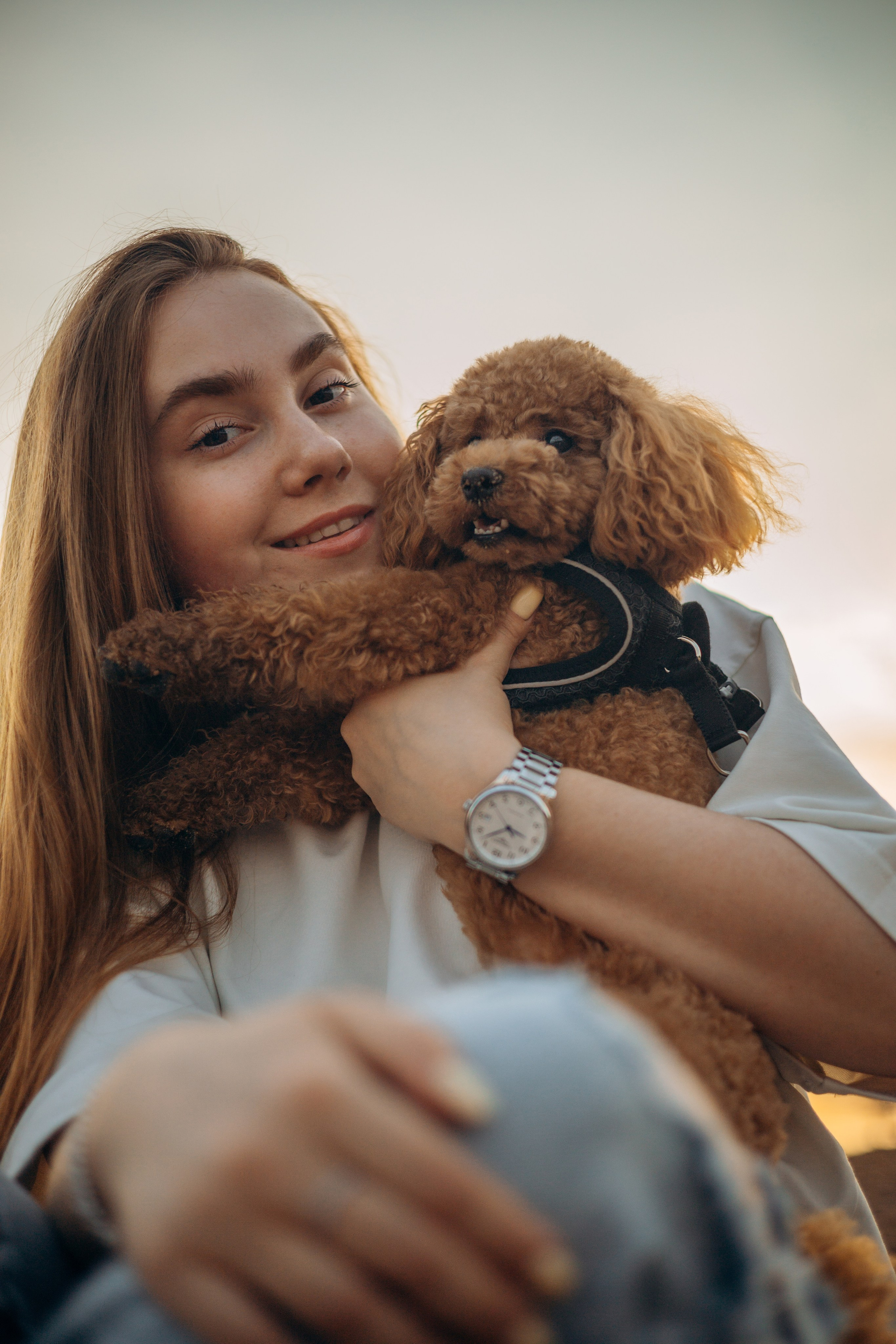 Девчонки и Филимон. Фотограф — анималист •love-story•|Санкт-Петербург