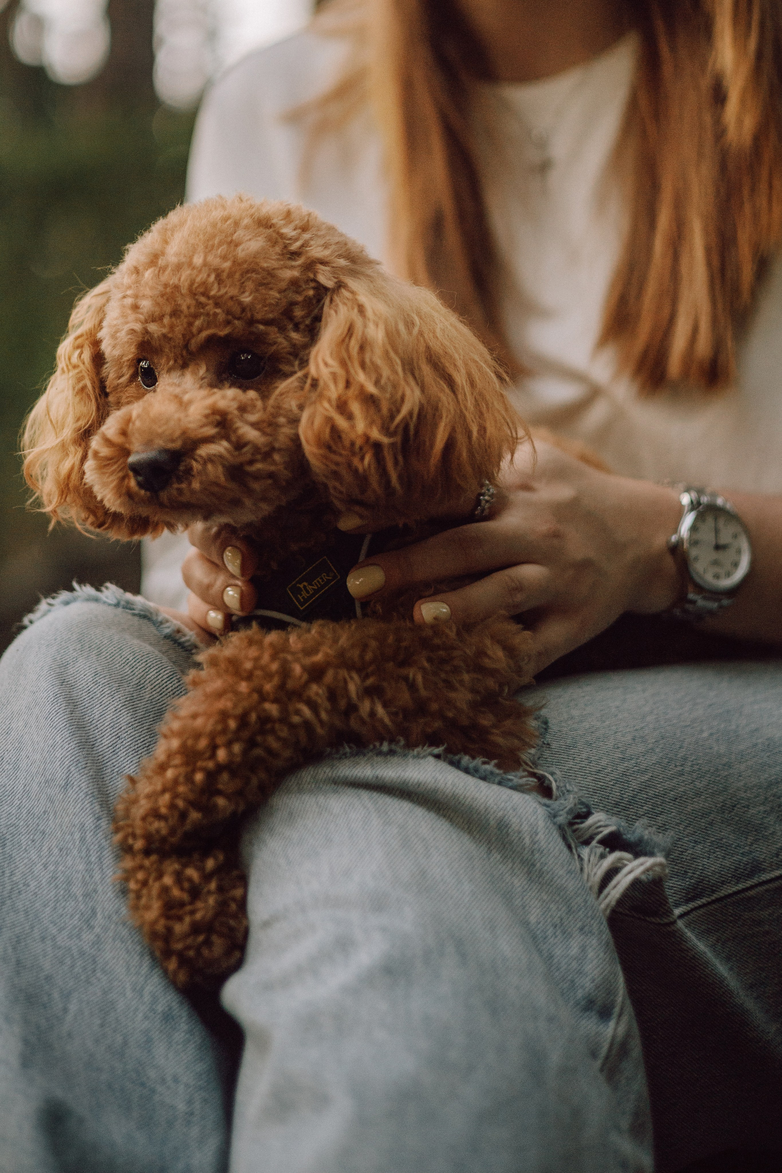 Девчонки и Филимон. Фотограф — анималист •love-story•|Санкт-Петербург