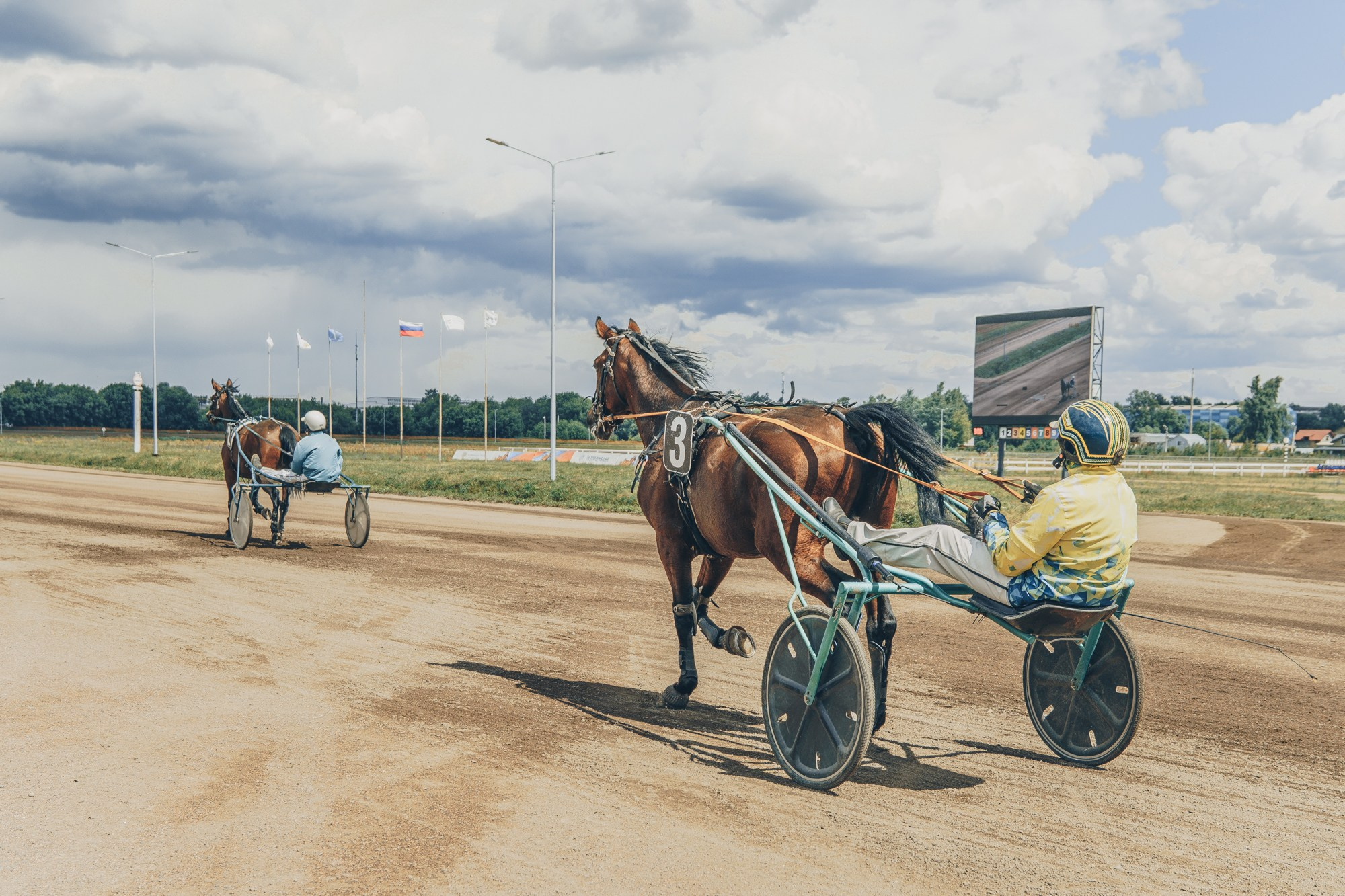 Раменский ипподром. Фотограф Яна Журавская Спб / Москва