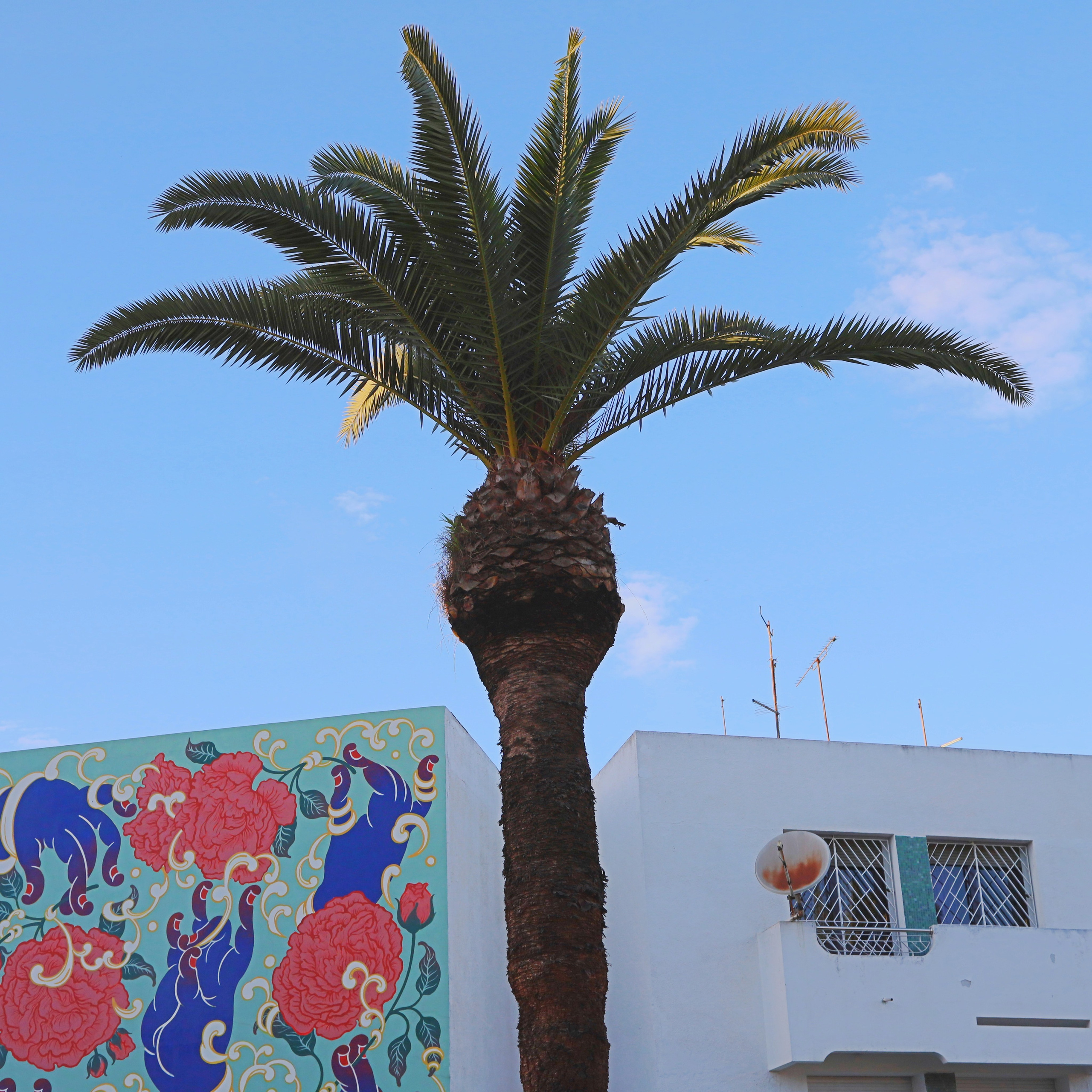 МАРОККО-ТУРЦИЯ /// 23.11-12.12.2025. СПБНЛО