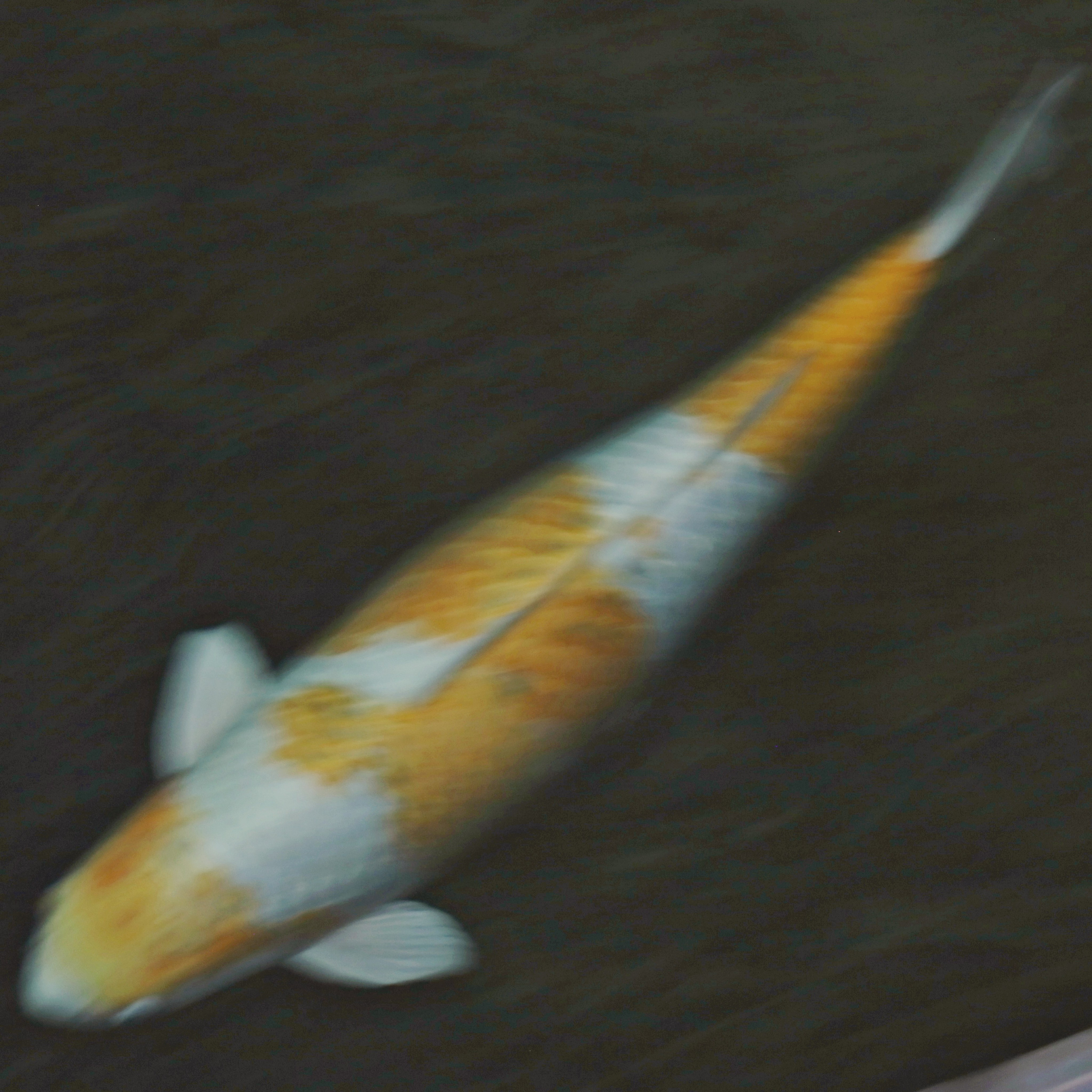 МАРОККО-ТУРЦИЯ /// 23.11-12.12.2025. СПБНЛО