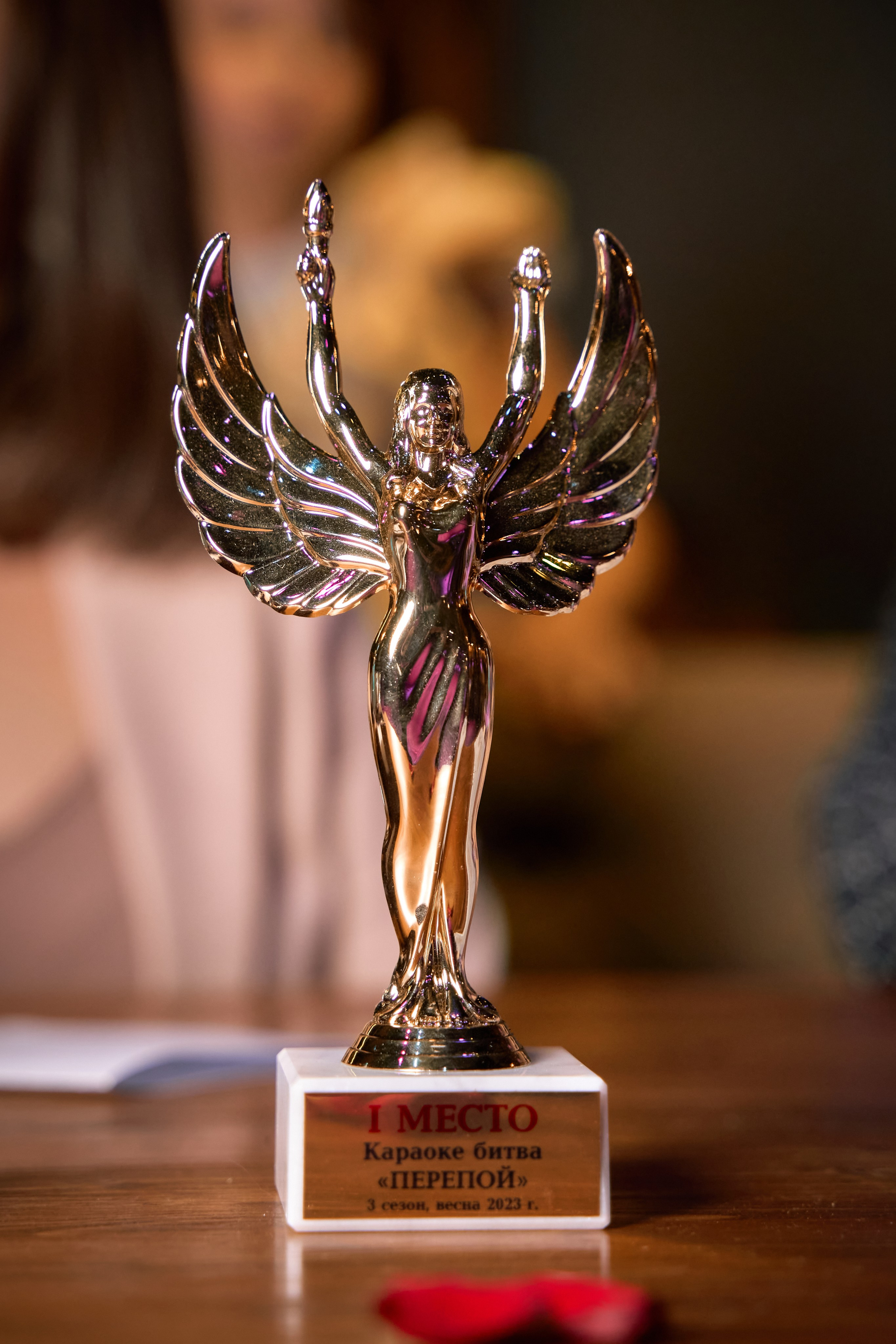 Караоке битва. Портретный, семейный и репортажный фотограф в г. Чебоксары Дмитрий Мак