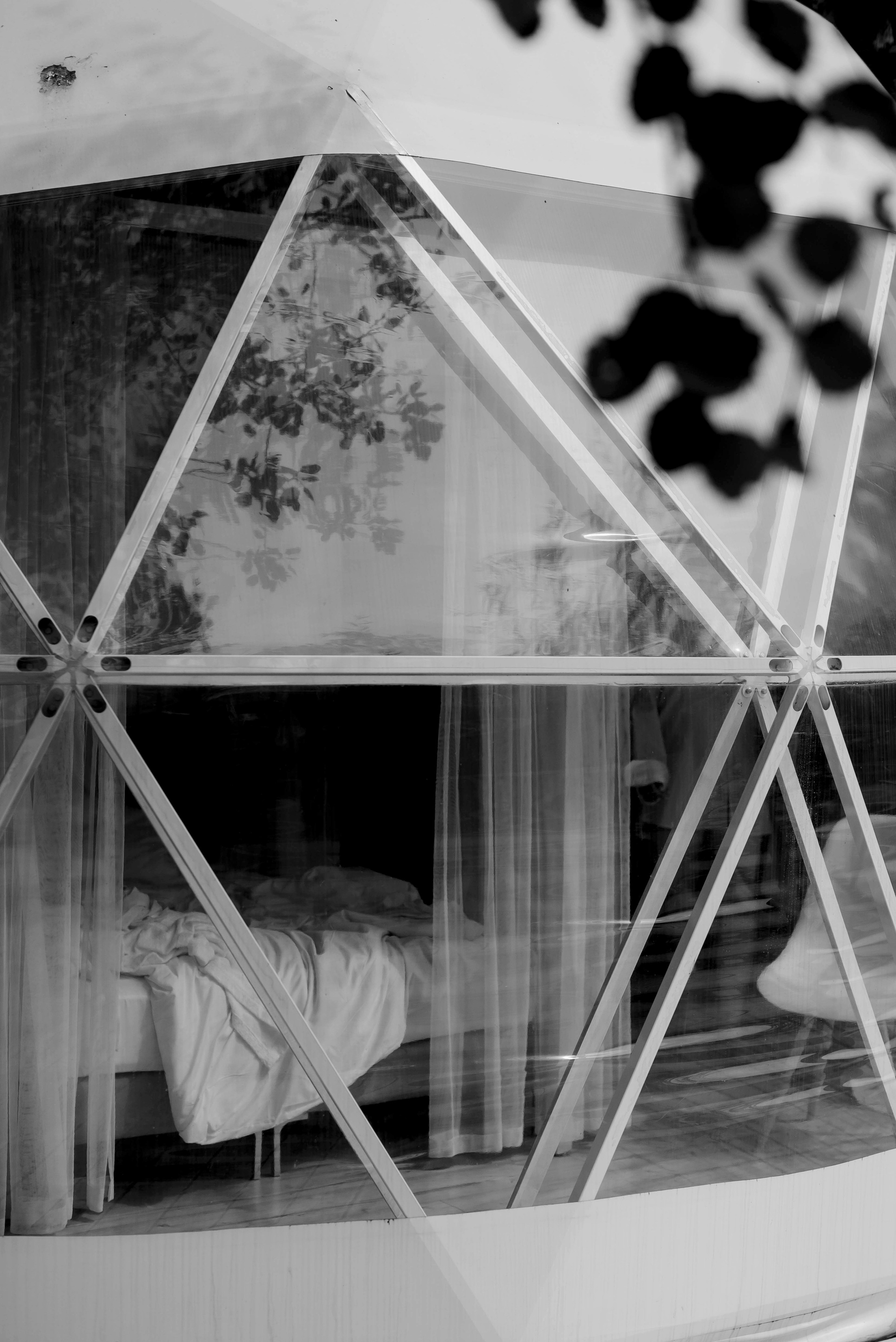 Светлана и Тимофей. Свадебный и семейный фотограф в Новосибирске, Санкт-Петербурге, Москве