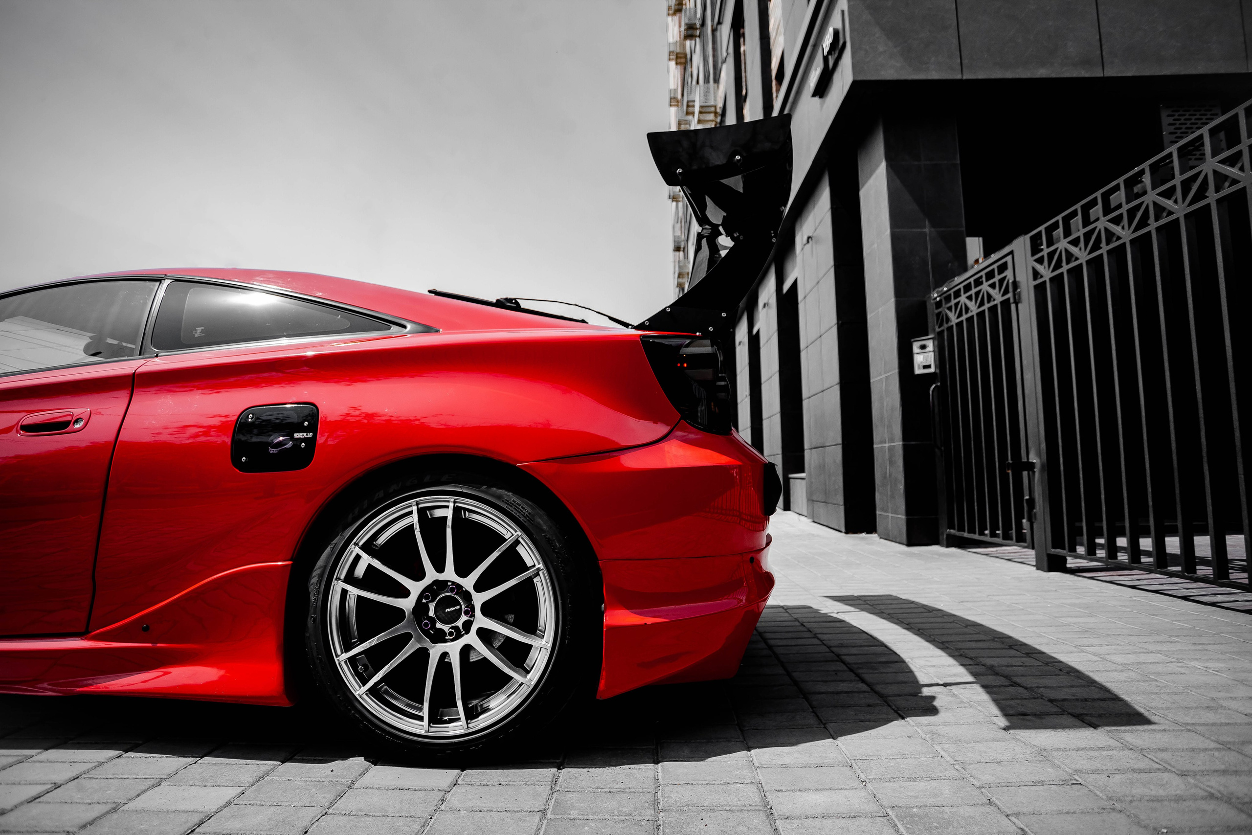 Celica. SHDEN — Photographer | Content Creator