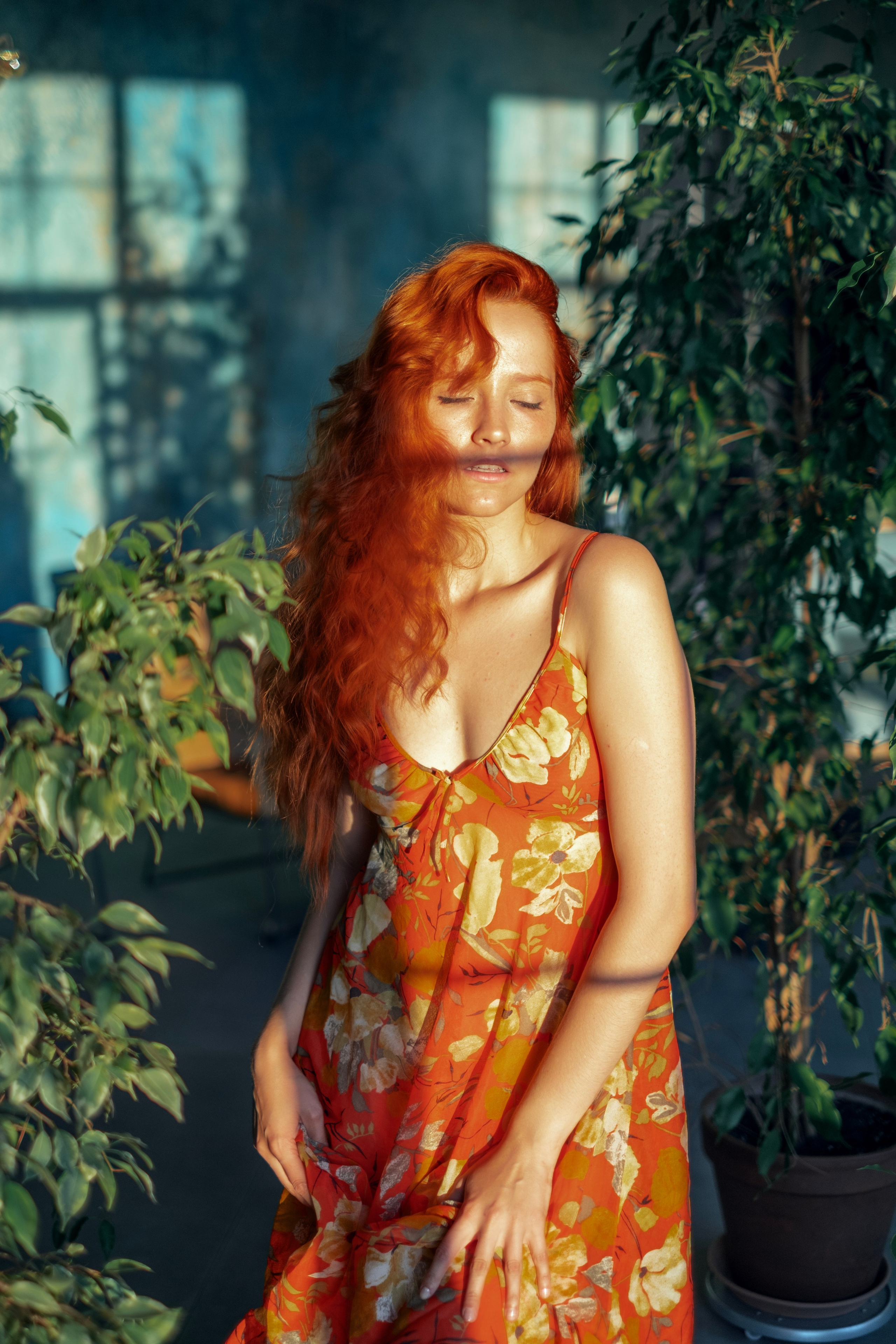 Garden. Andrey Bogdanov Photo