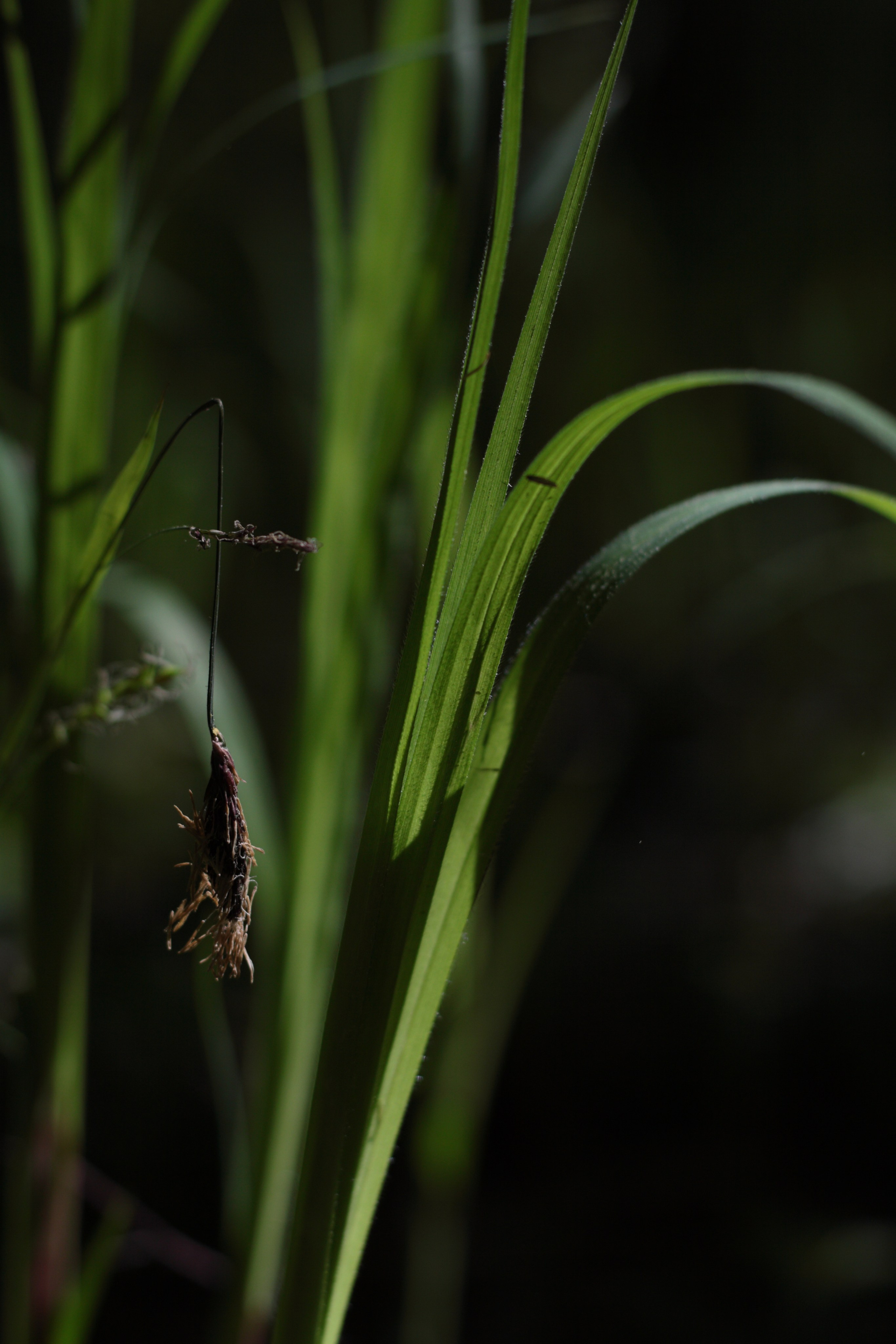 Старое природное, отбирала Katamount (Катерина Горохова). Главная