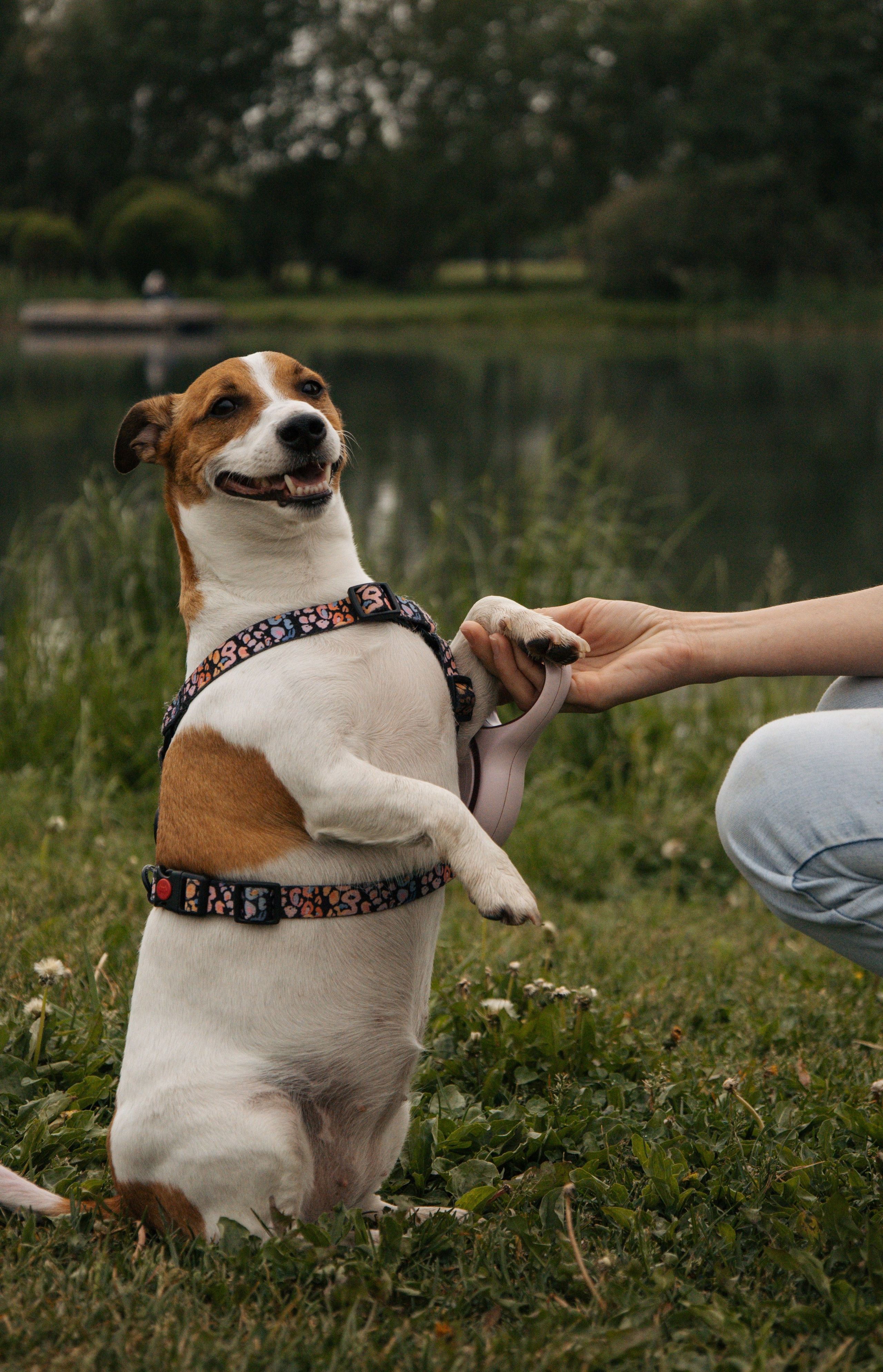 Моя маленькая спутница: Банни и Настя в Южнобутовском парке. Фотограф-анималист в Москве Екатерина Тихонова
