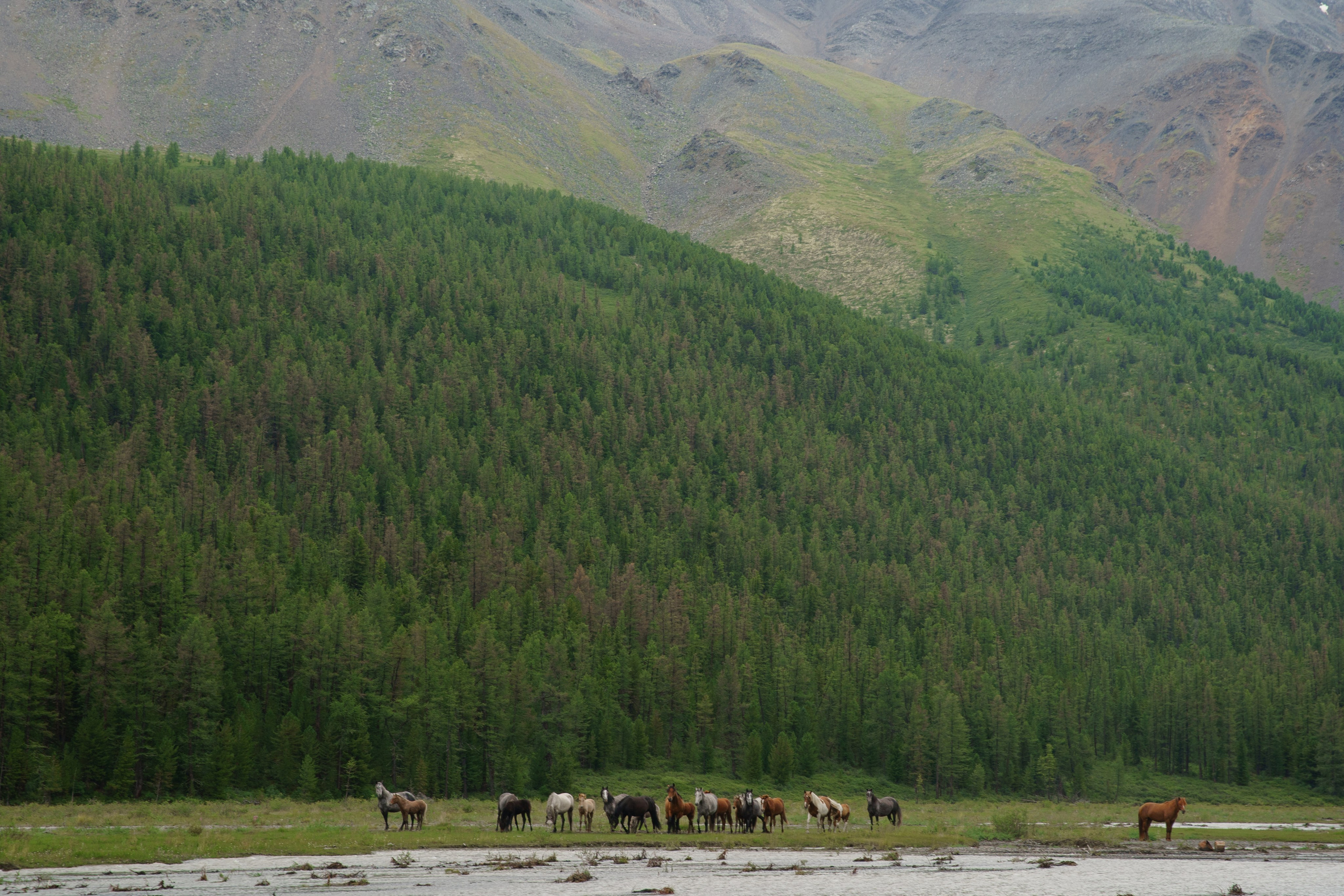 ALTAI. Фотограф в Москве и по всему миру — Олег Акентьев (Events, Светская Хроника, FTP)