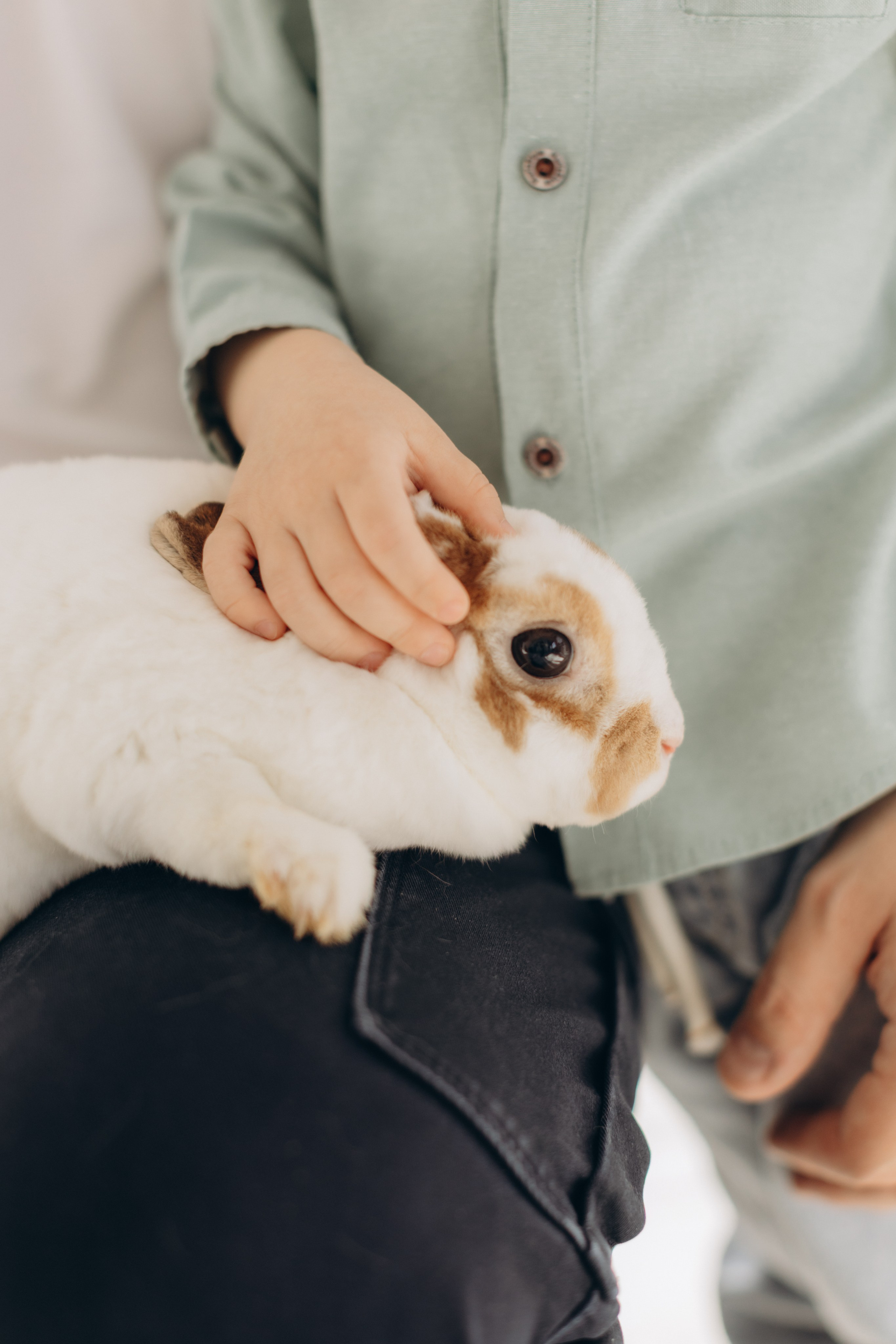 Илюша. Пасхальная съёмка. Семейный и детский Фотограф Ирина Фенина Саратов