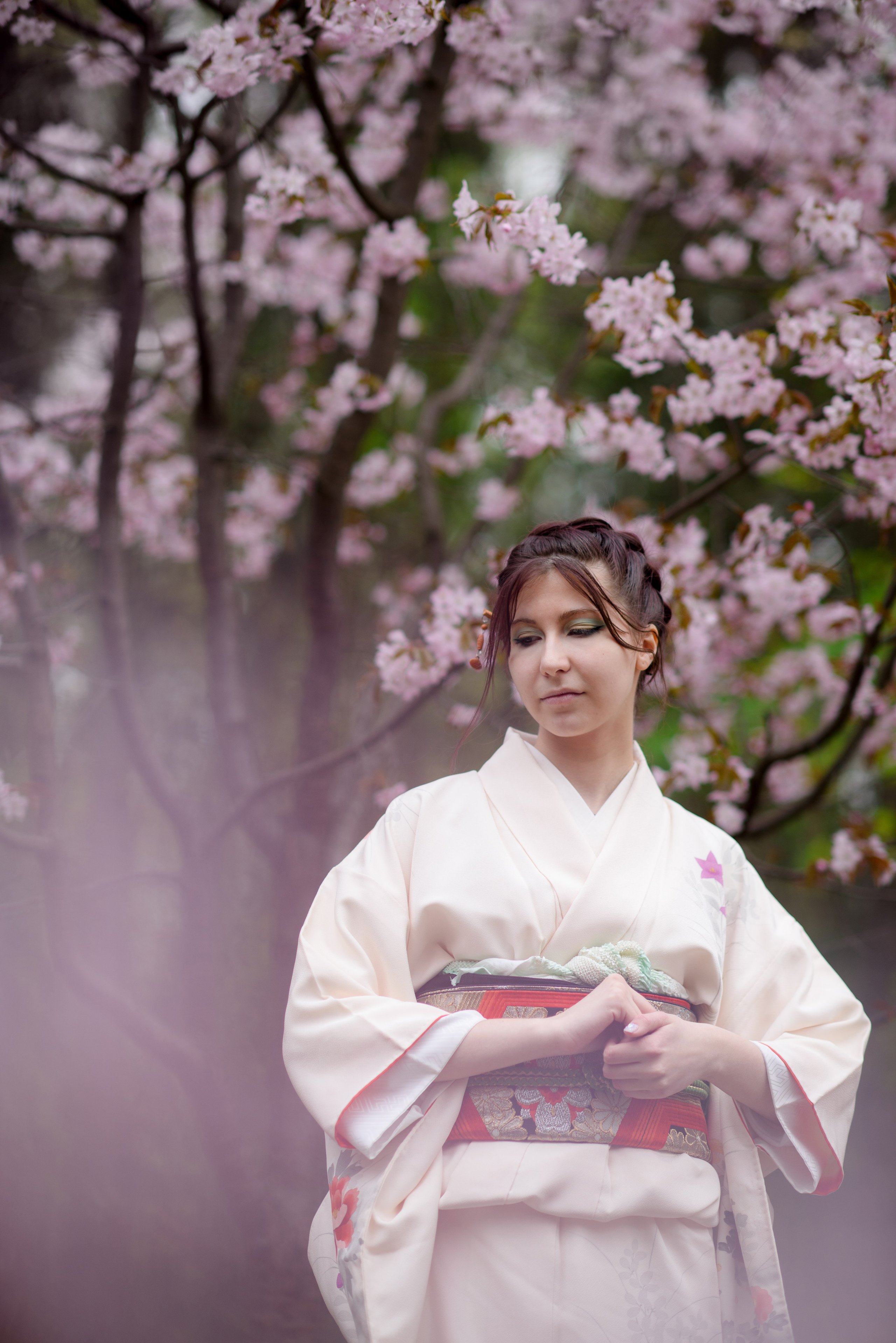 Любование сакурой в Бирюлевском дендропарке. Главная