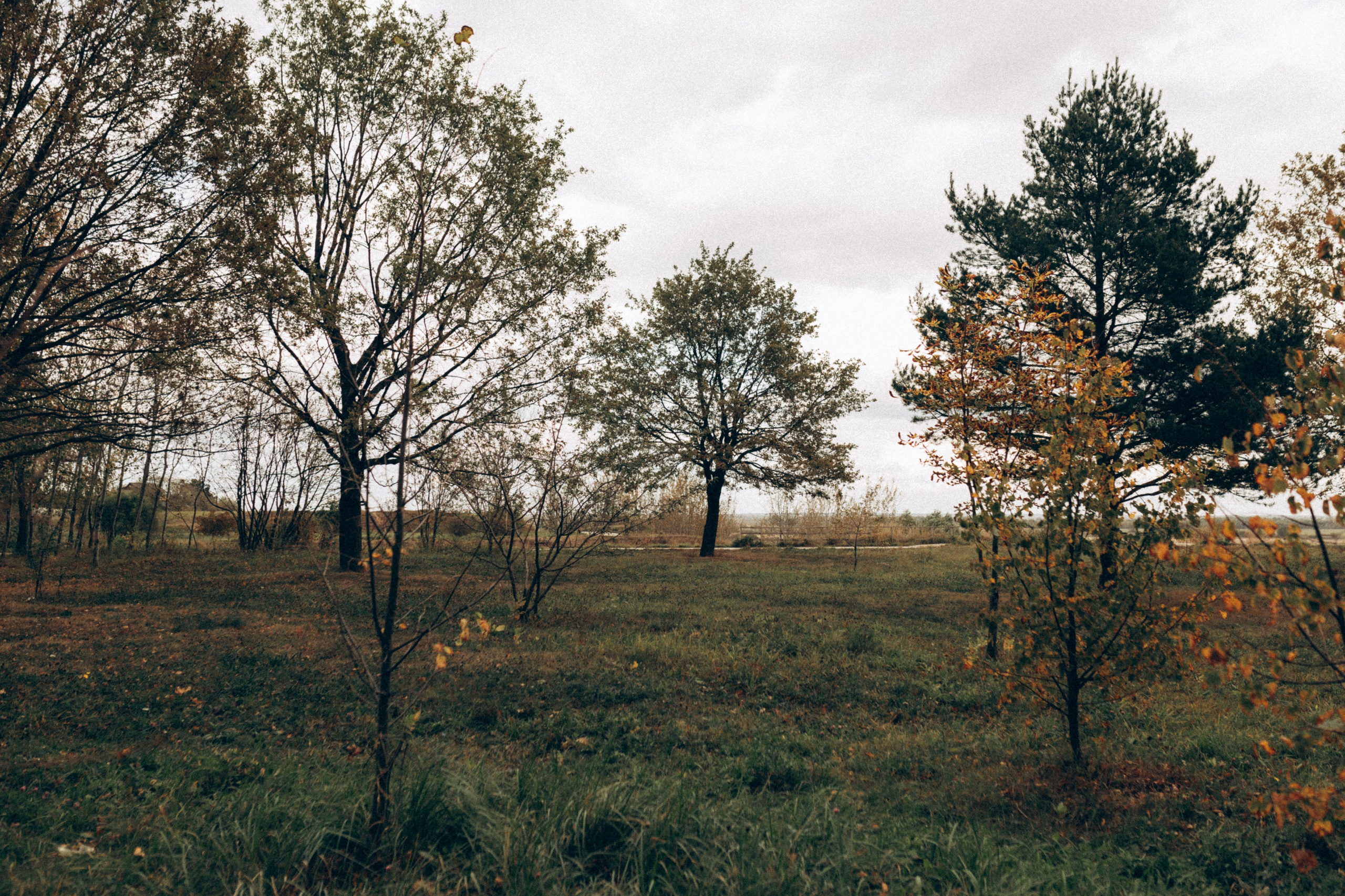 Рита Сережа Катюша. Семейный и детский фотограф в Рязани Екатерина Воронцова
