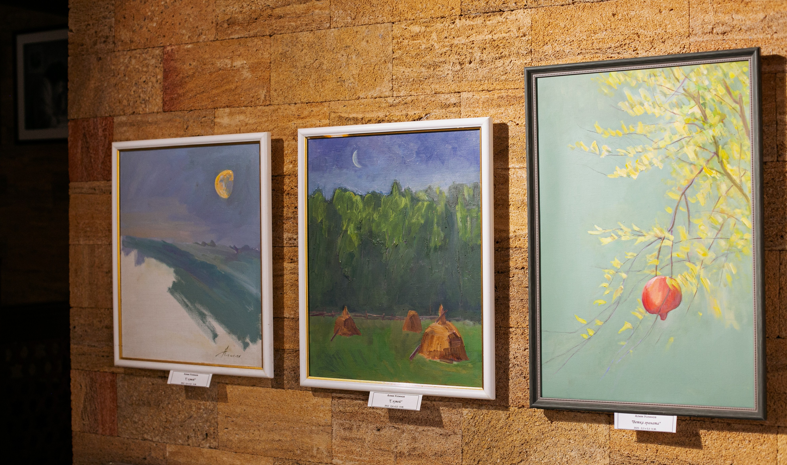 Alim Useinov. Beye Shevkiyeva Photography