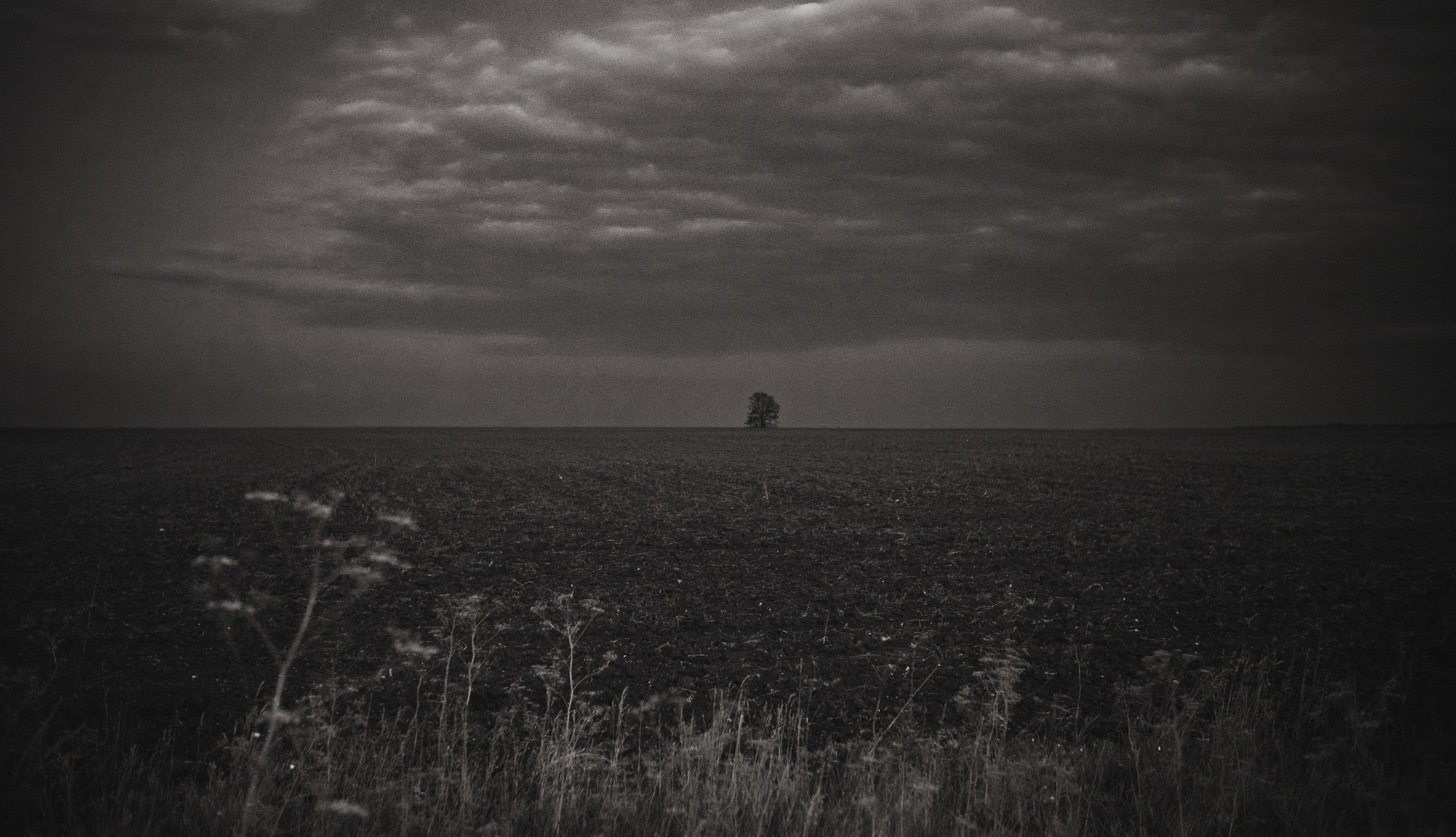 Природа. Kunchiy_