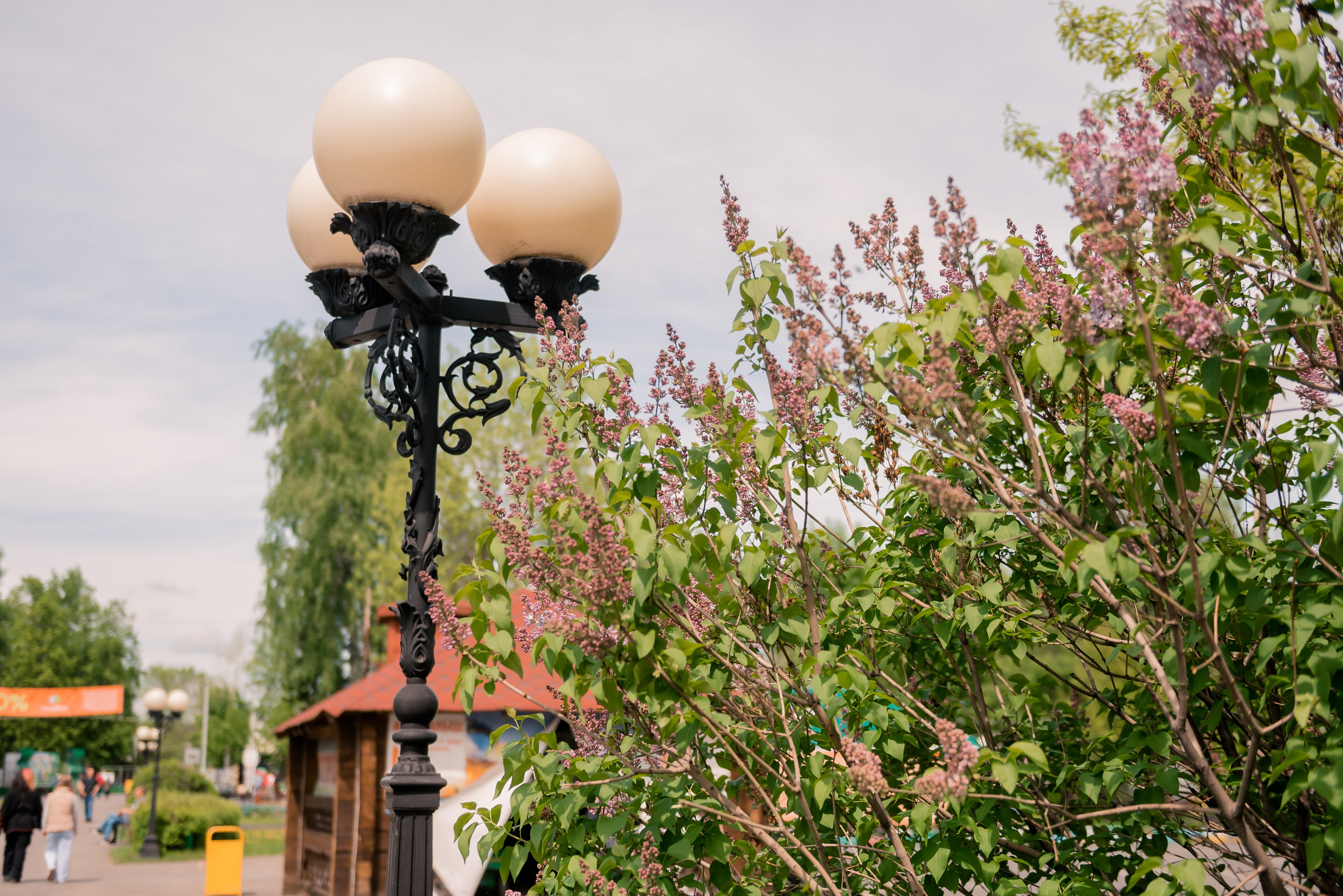 Беличья Тропа. Детский фотограф, семейный фотограф и репортажи в Кемерово