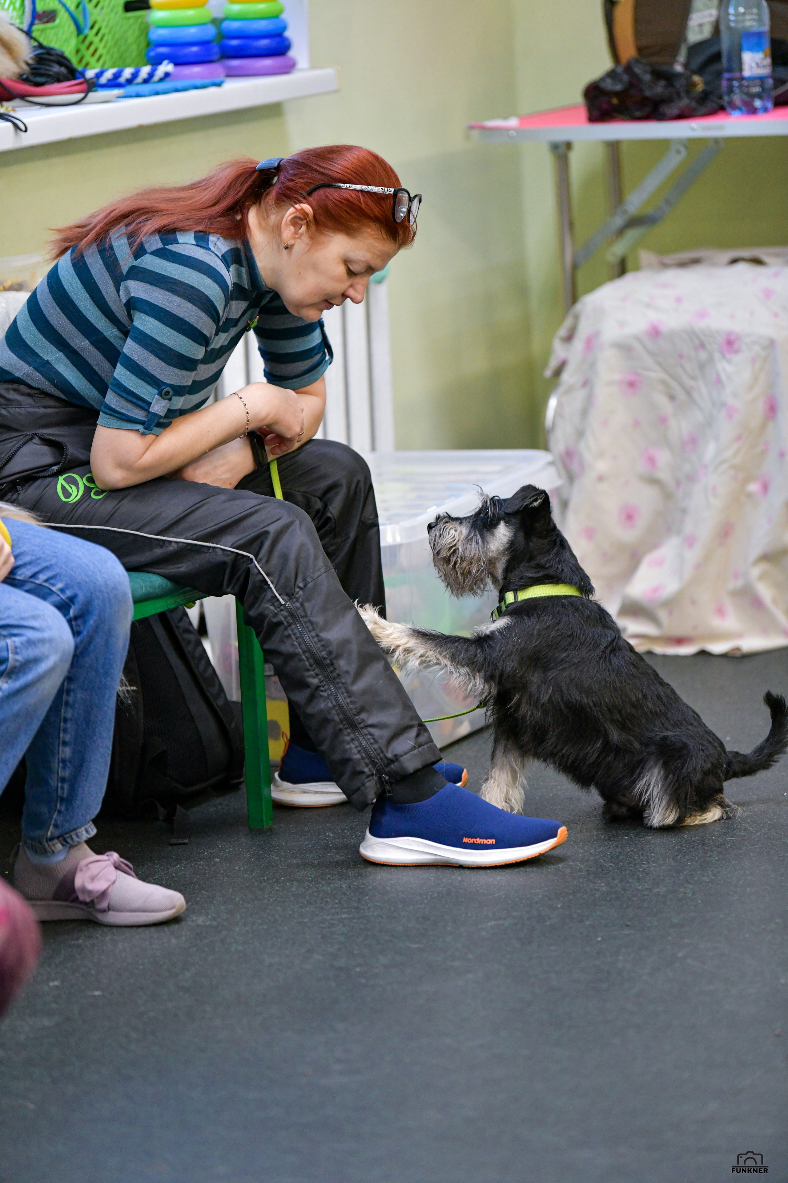 Кинологический клуб «Бодрый хвост». Свой взгляд через объектив