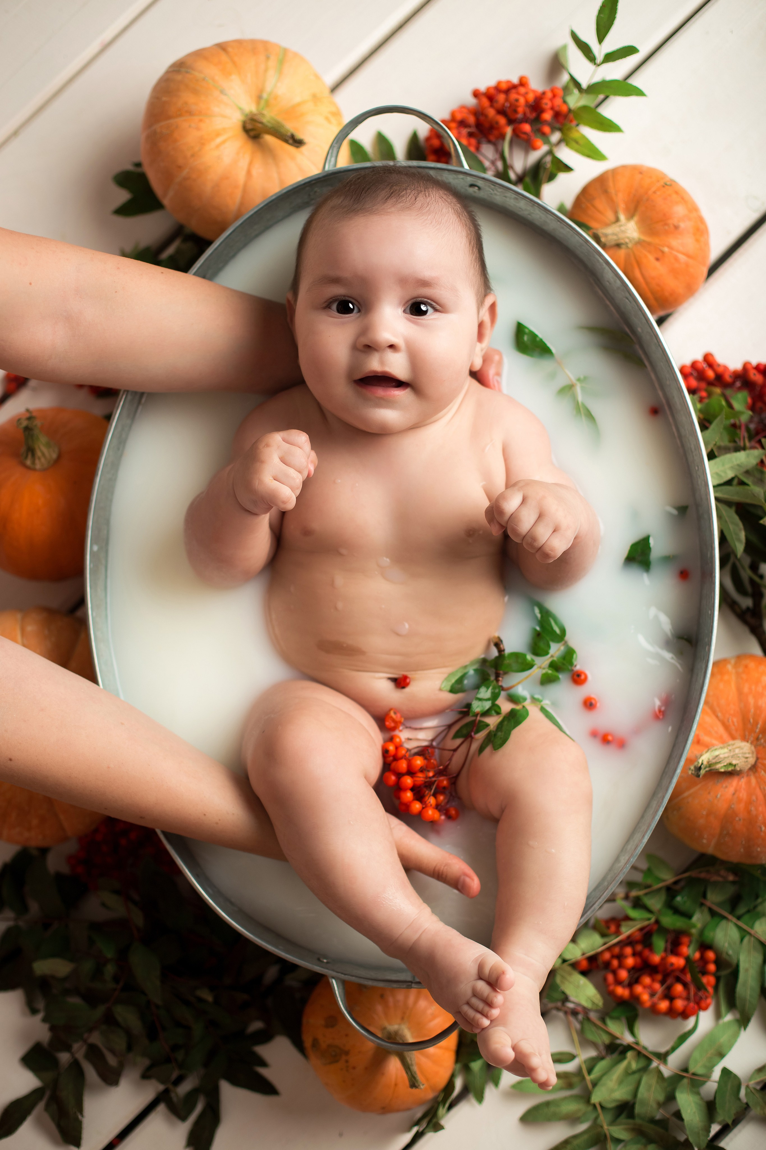 Тематические фотопроекты. Главная