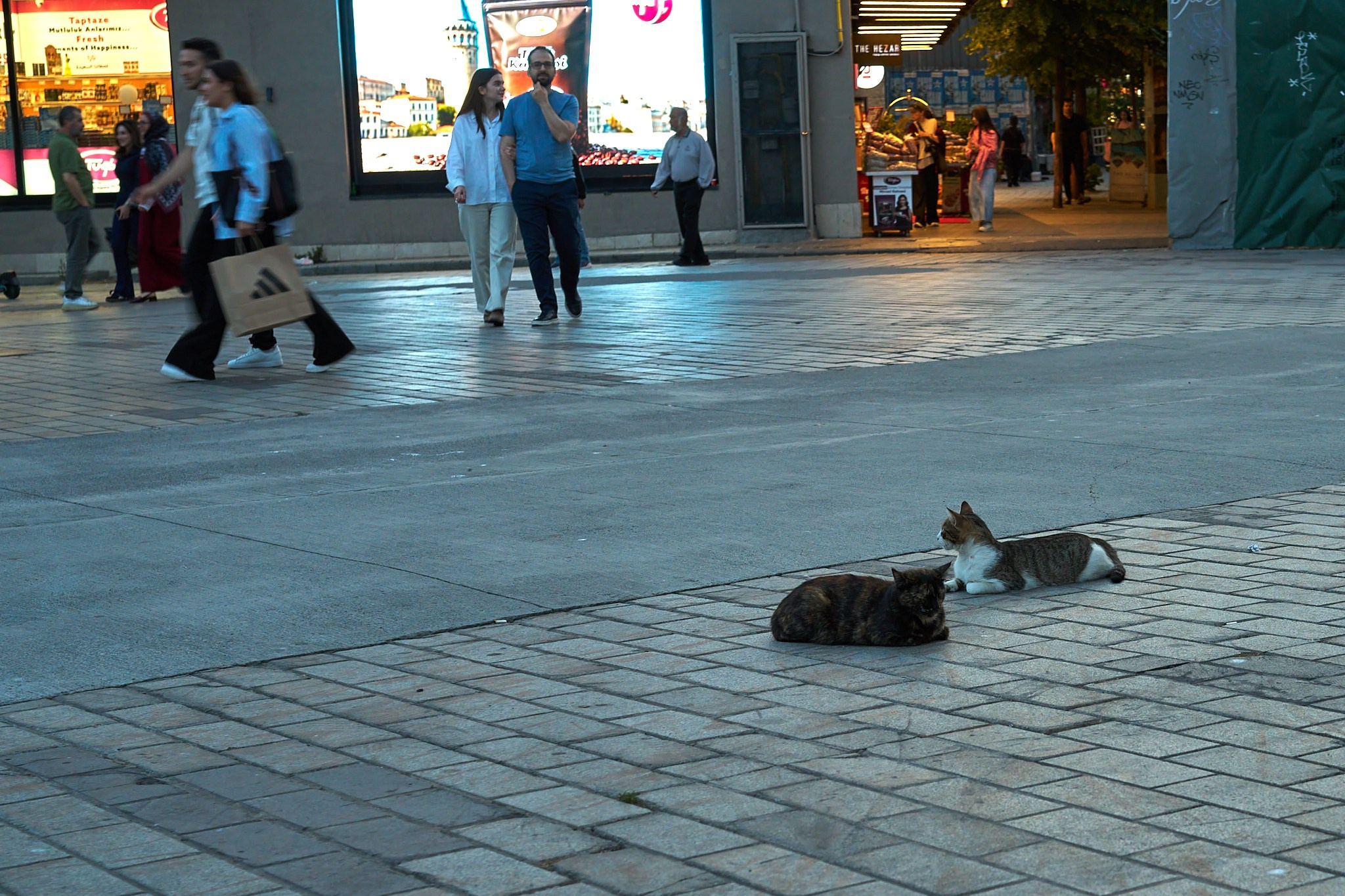 Istanbul. Mike Tanner