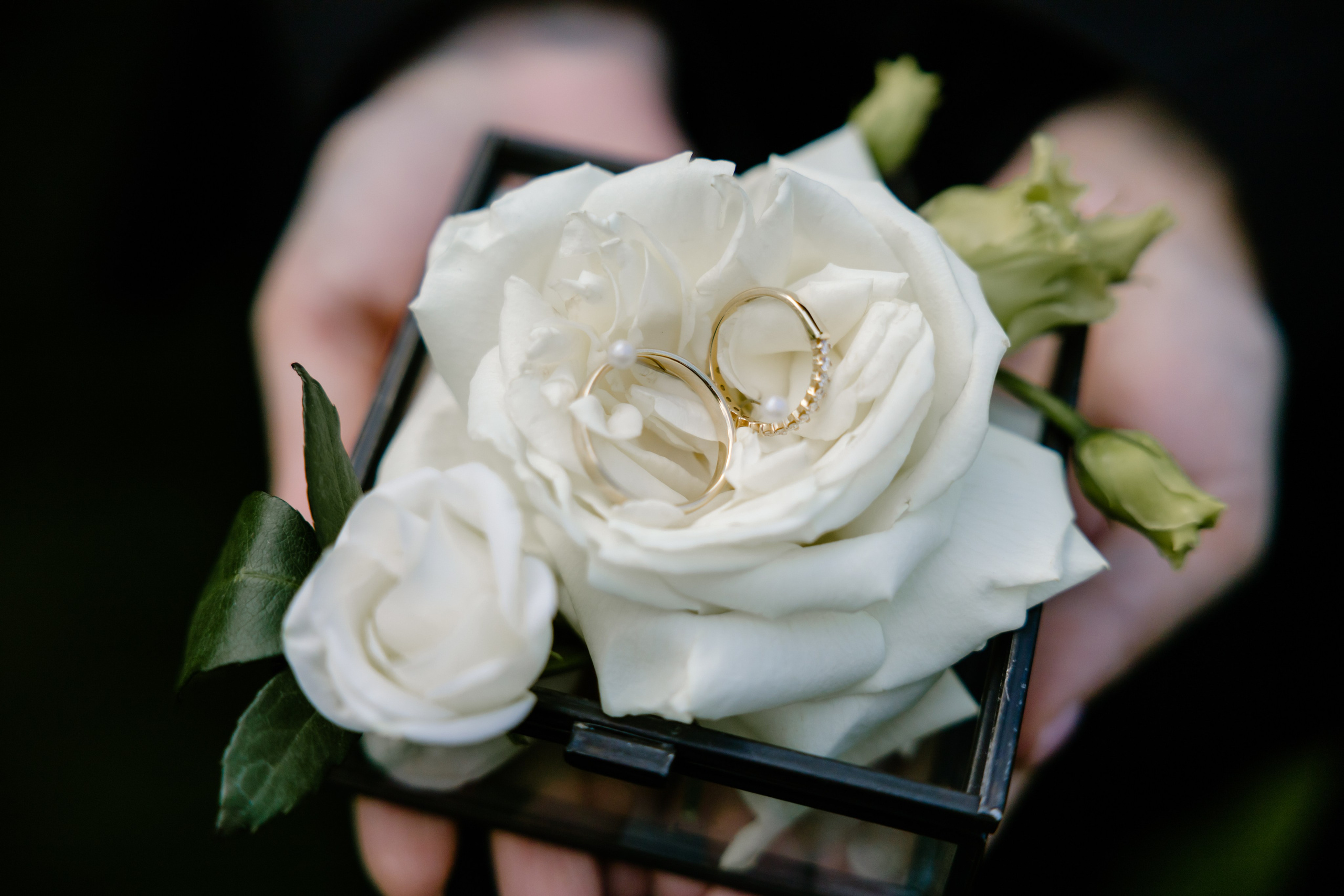 Полина и Александр. Фотограф и Видеограф во Владимире