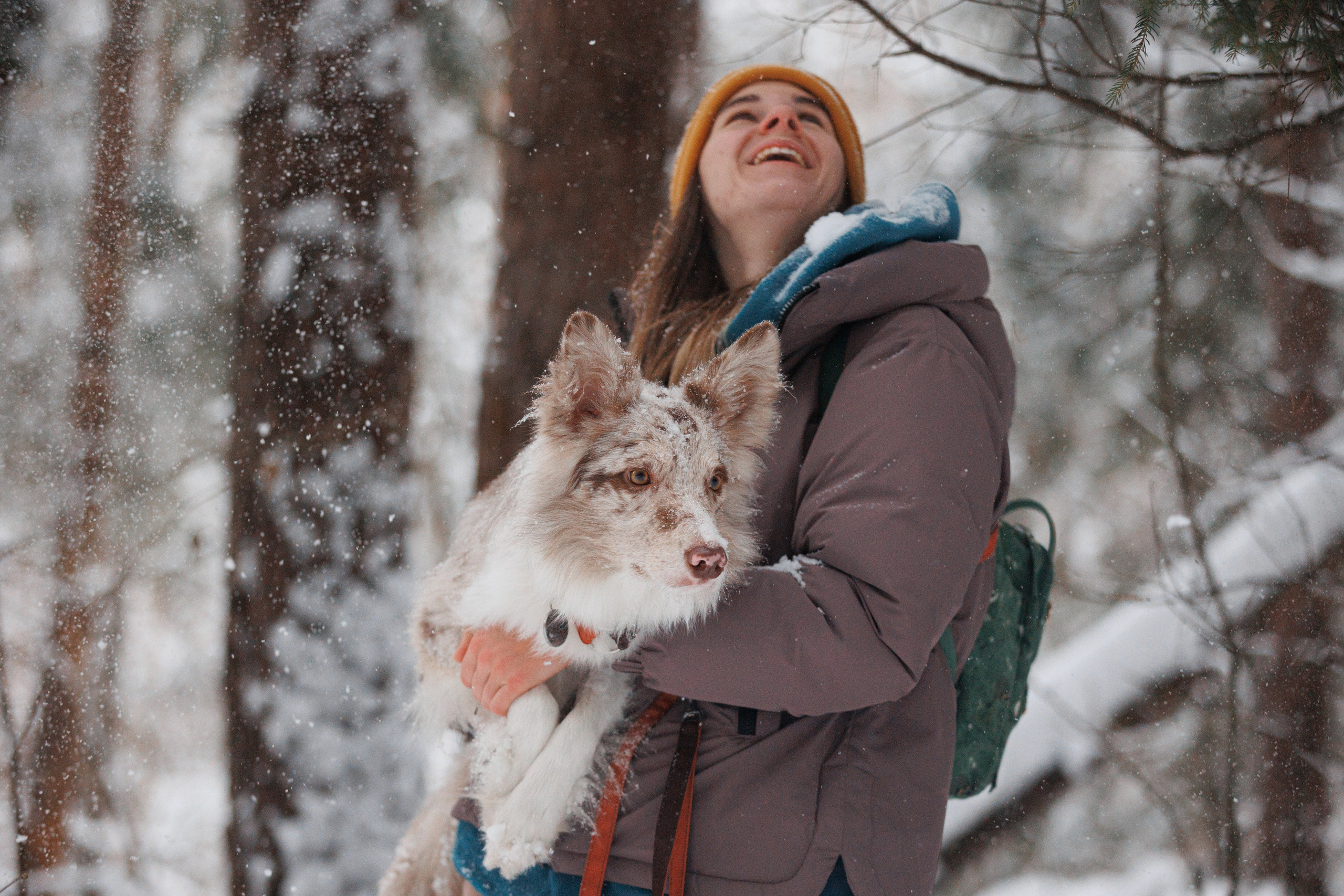 Даша и компания. Фотограф анималист Кристина Карпова, Москва