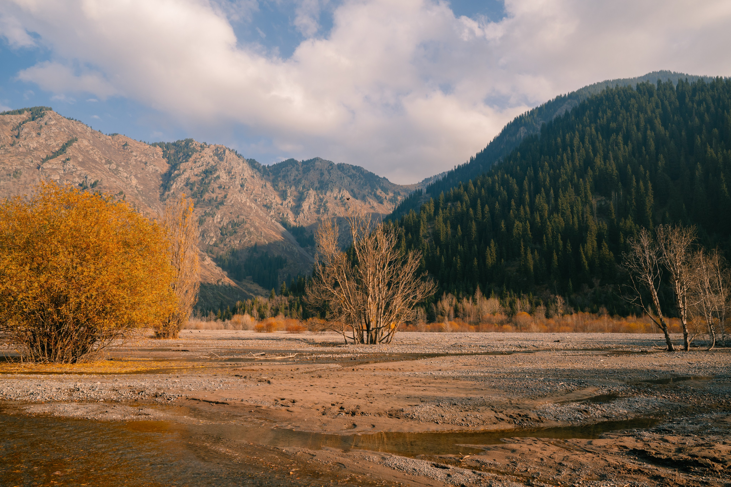 Озеро Иссык, осень 2025. Фотограф в Алматы — Алексей Коньков | Репортаж, свадьбы, портреты