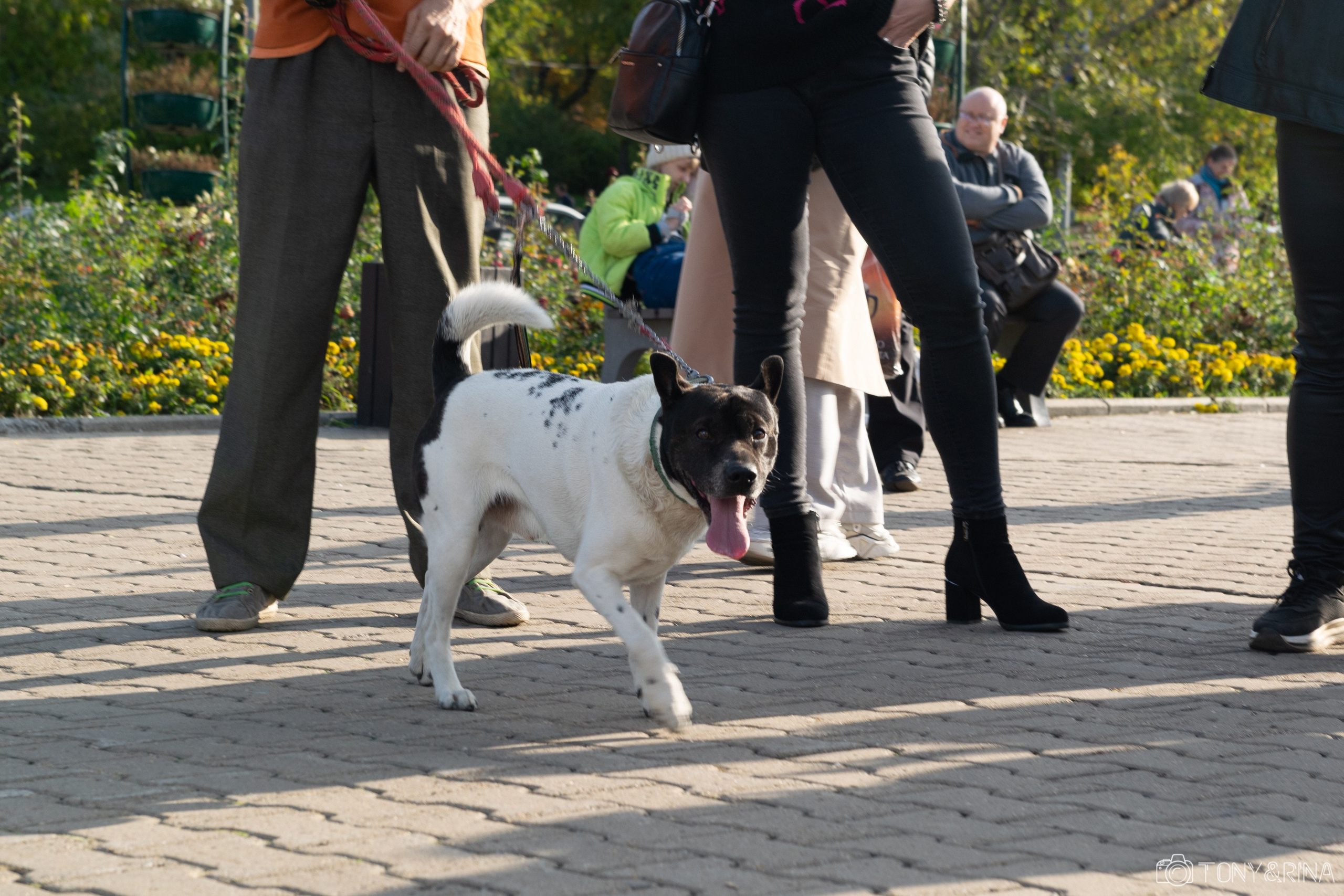 Рок в защиту животных 2023 Хабаровск - Антон Курдюмов фотограф в Хабаровске Рина Курдюмова фото27 foto27 Антон Дорофеев Тони и Рина фотосоздатели Хабаровск