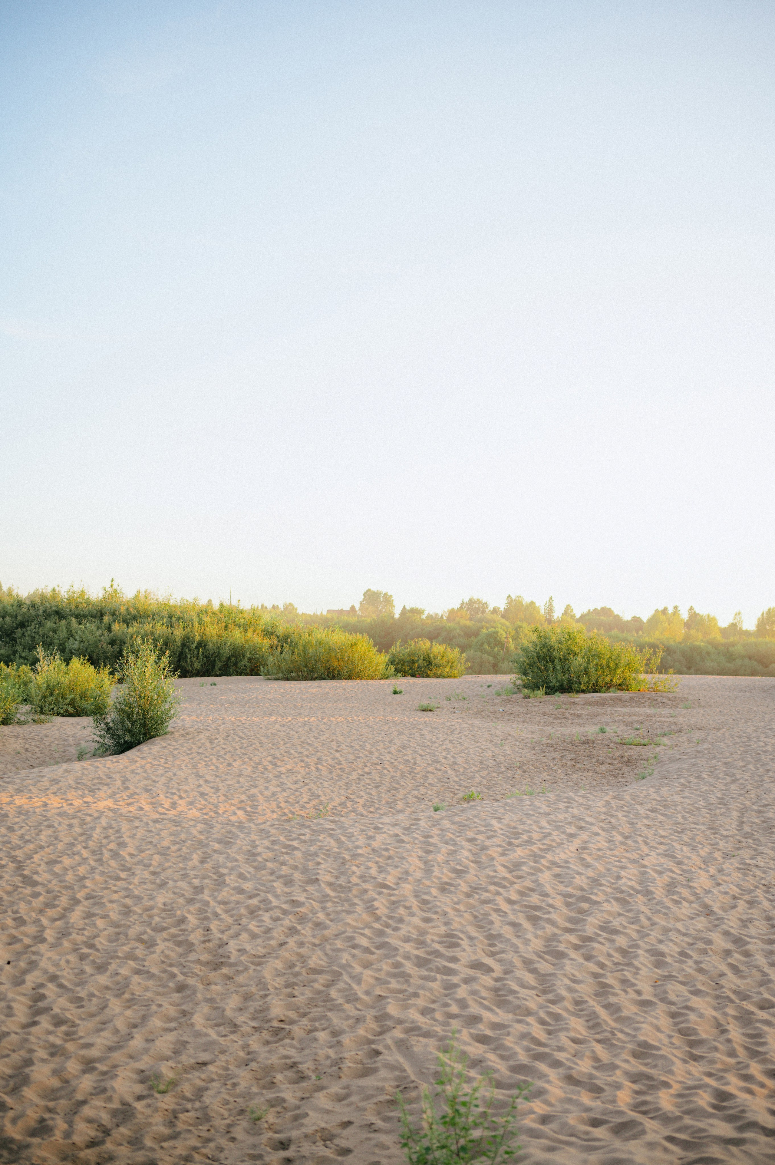 ВОВА И ОЛЕСЯ. Свадебный и семейный фотограф Никита Корохов