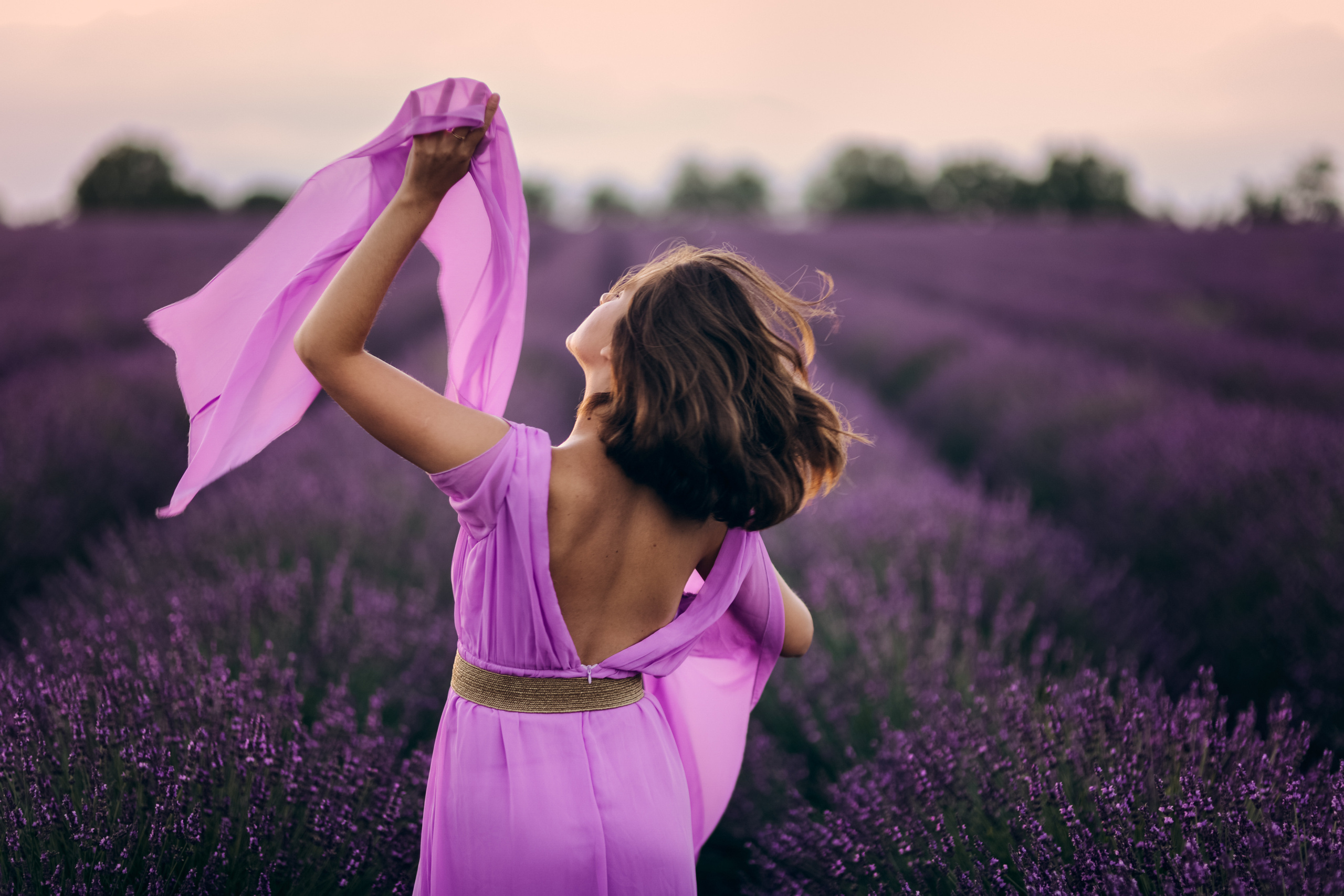 Lavender. Photographer in Provence Julia Lipiainen