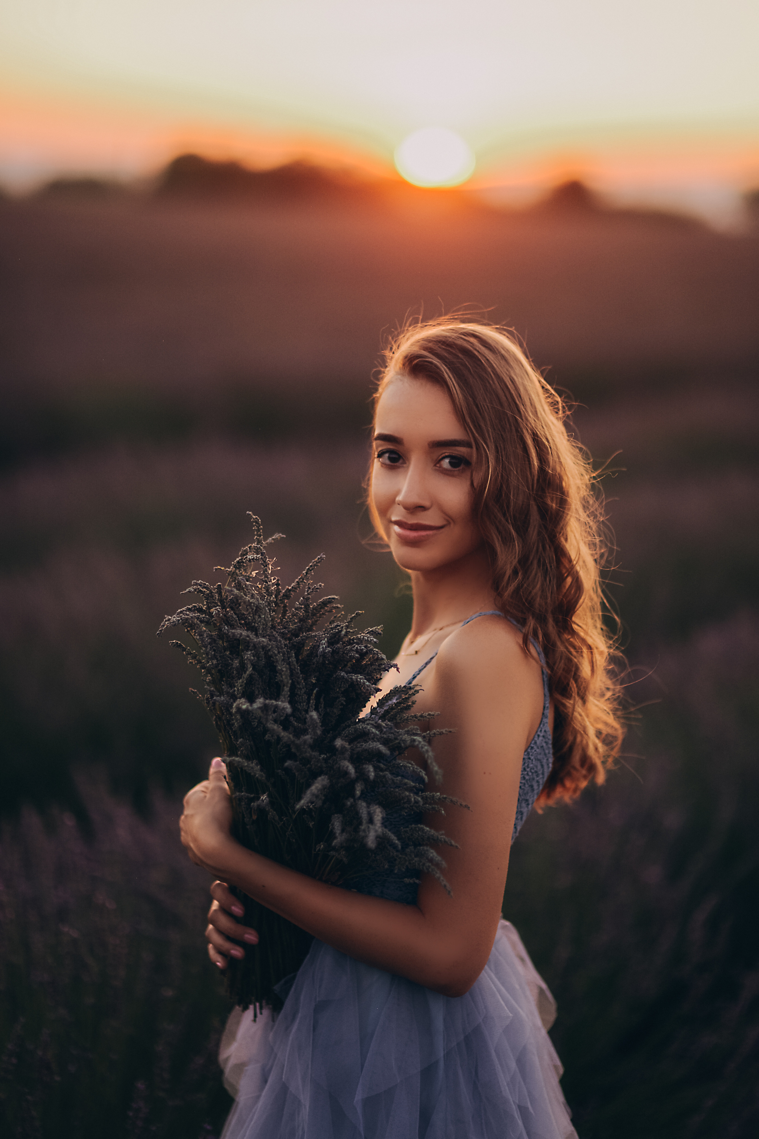 Lavender. Photographer in Provence Julia Lipiainen