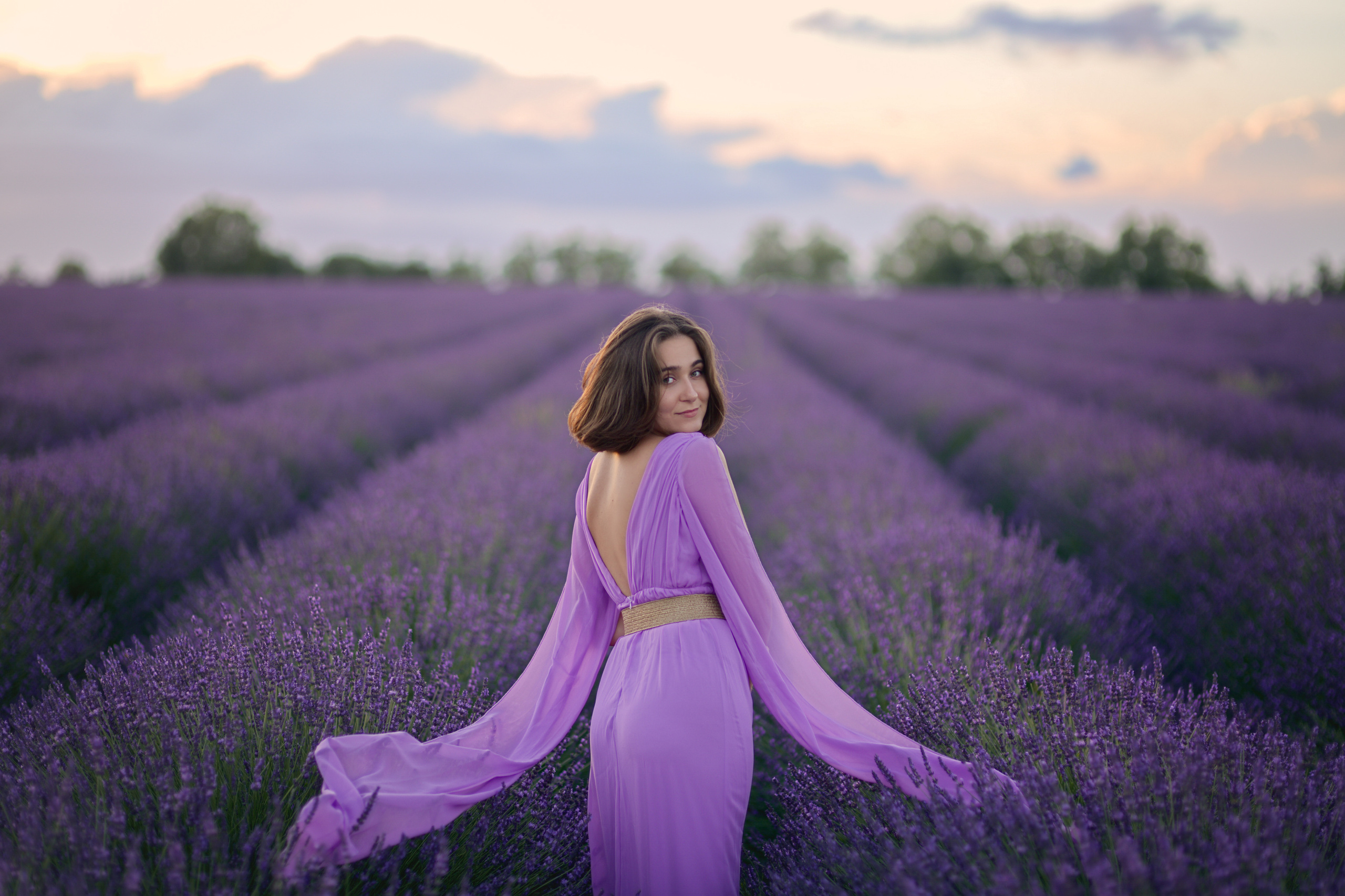 Lavender. Photographer in Provence Julia Lipiainen