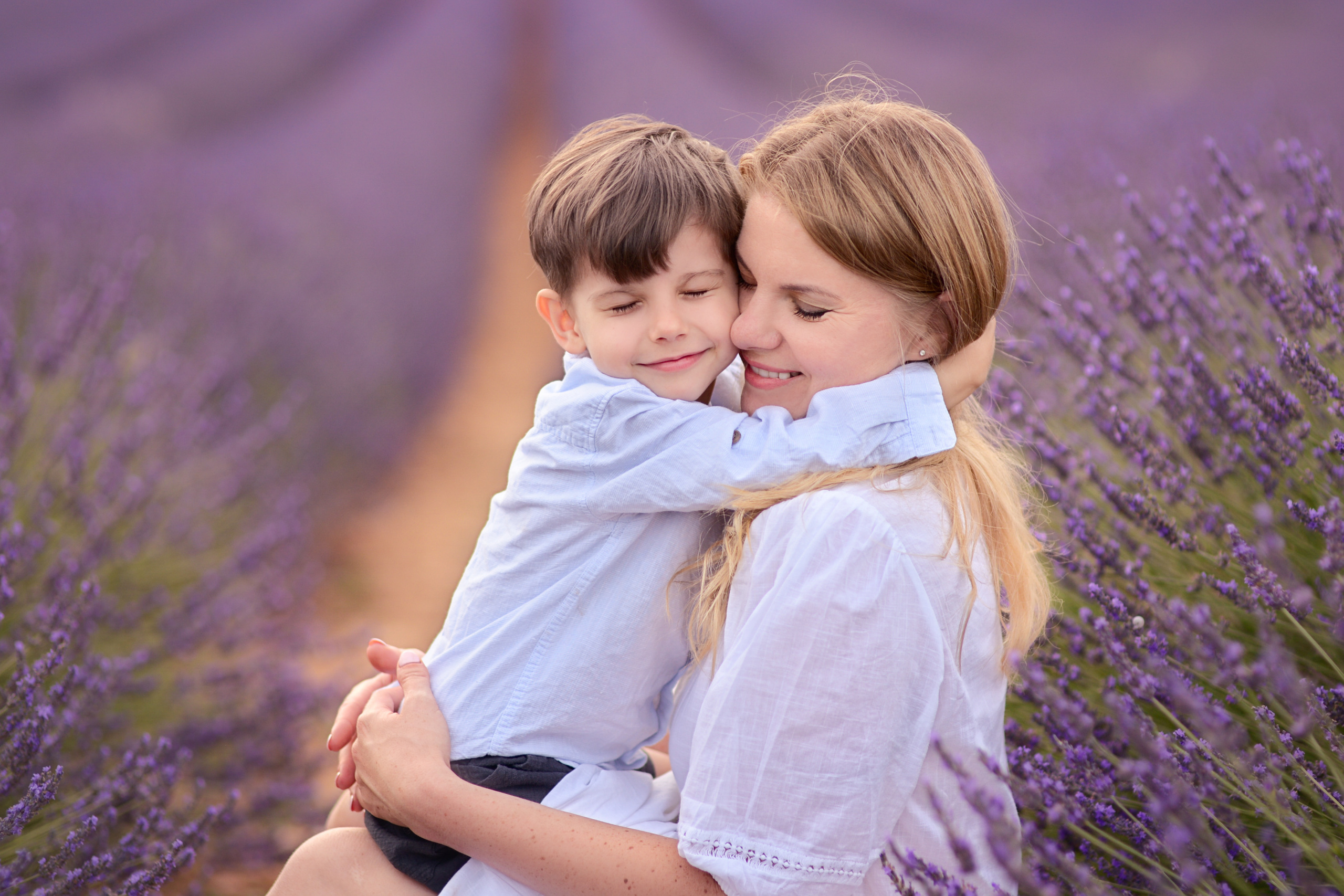Lavender. Photographer in Provence Julia Lipiainen