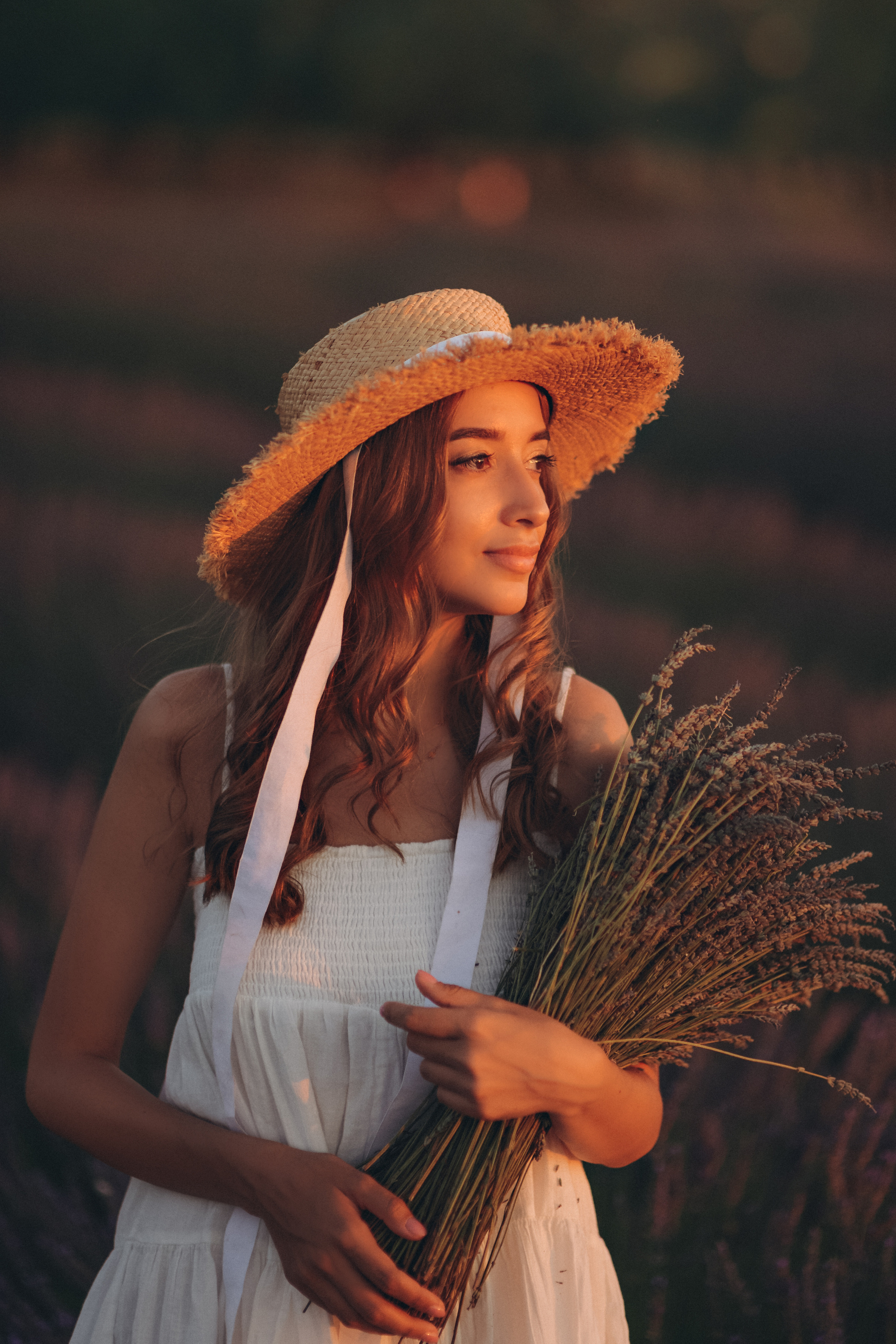 Lavender. Photographer in Provence Julia Lipiainen