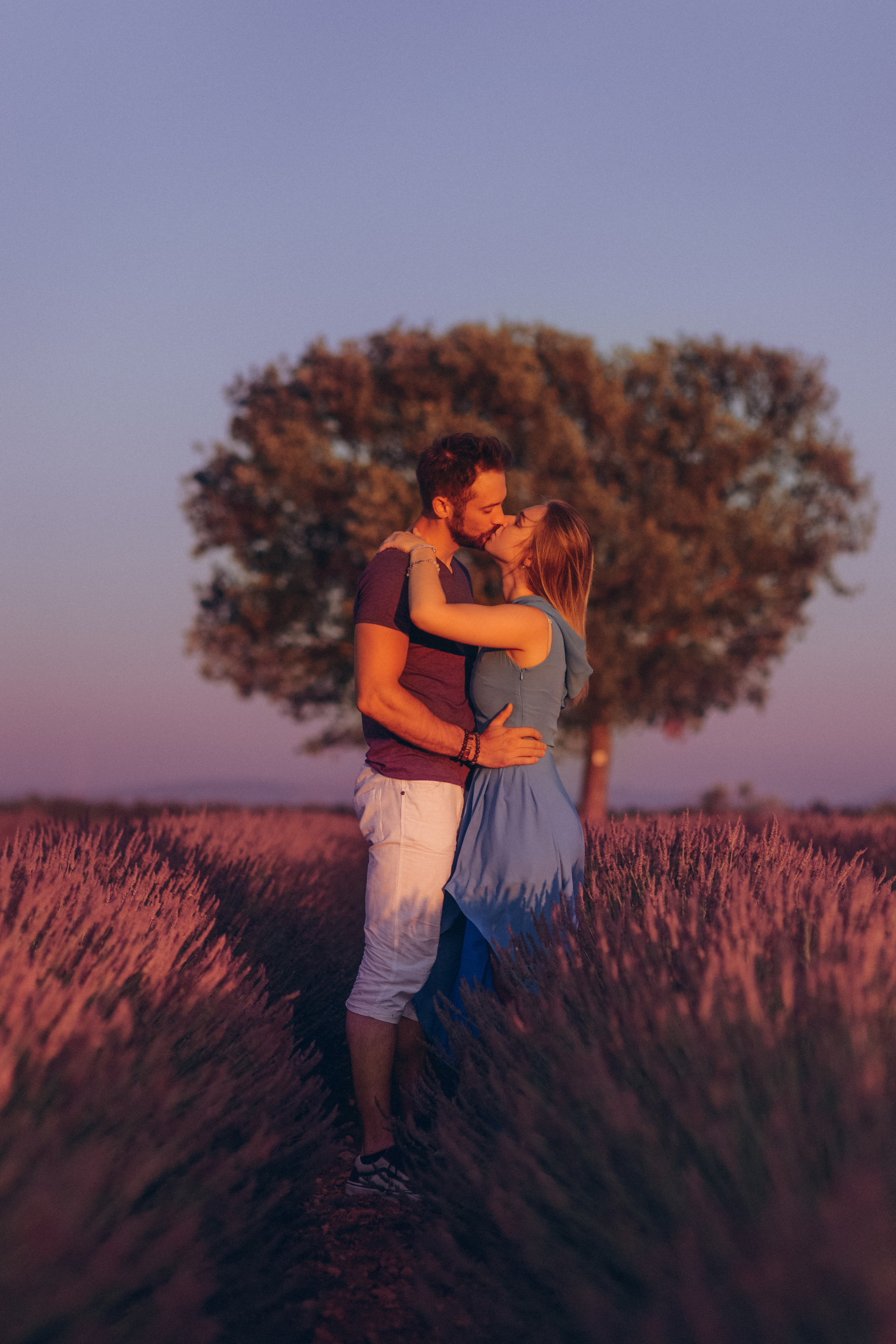 Lavender. Photographer in Provence Julia Lipiainen