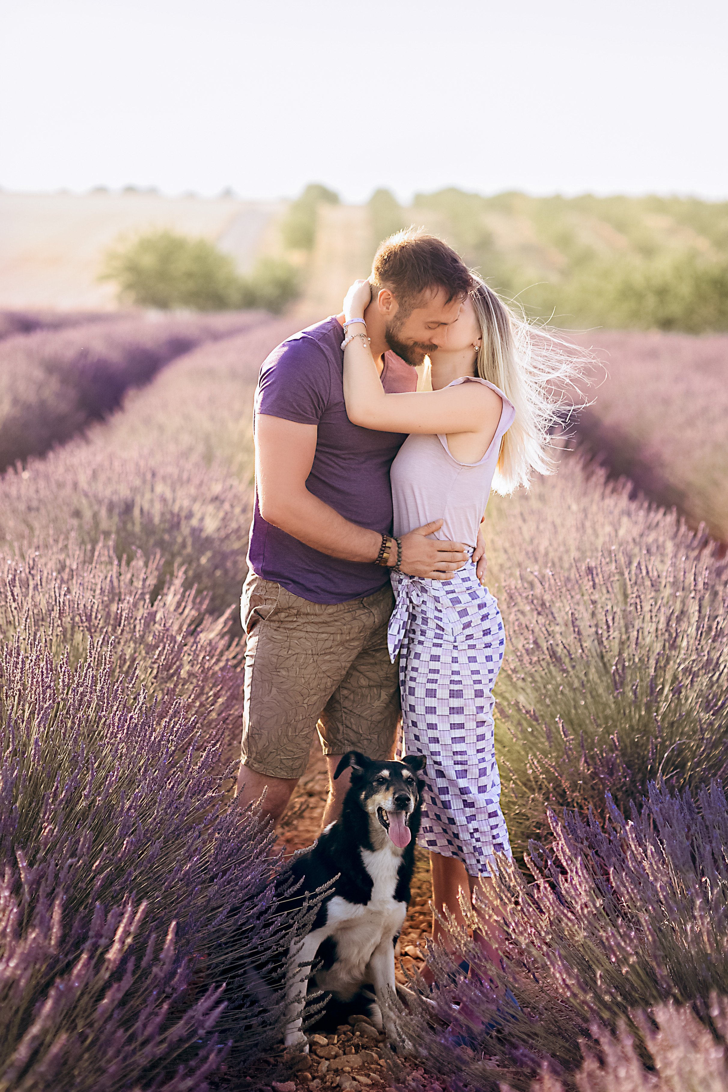 Lavender. Photographer in Provence Julia Lipiainen