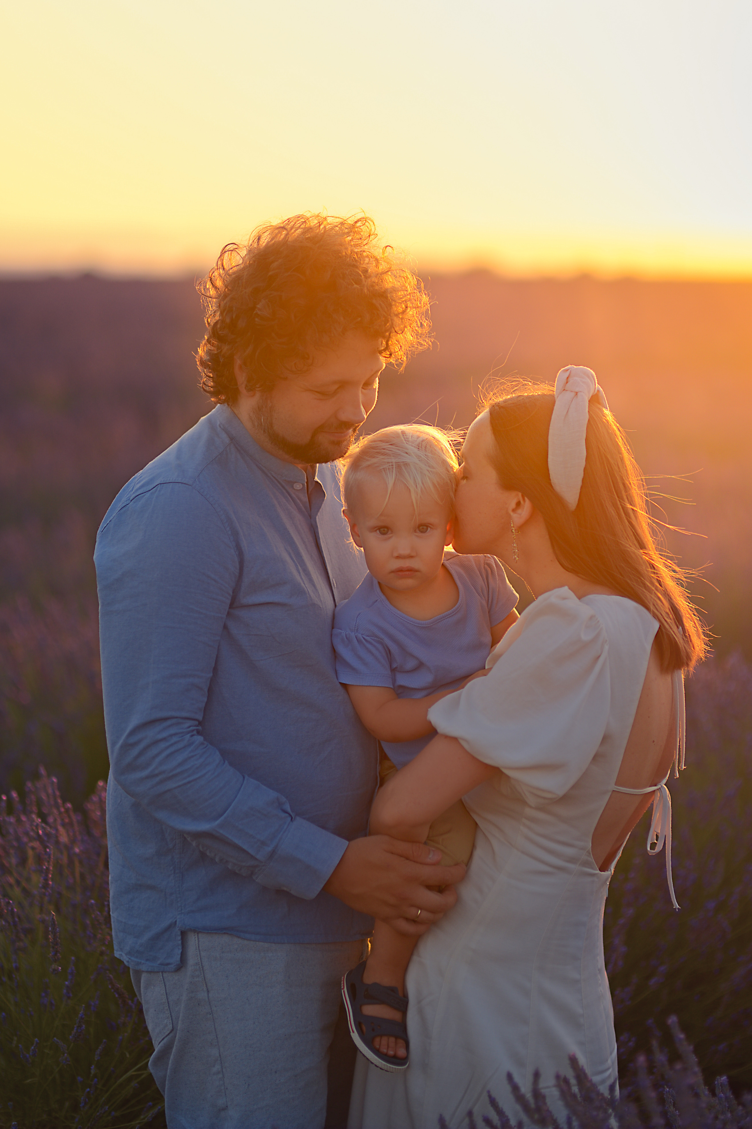 Lavender. Photographer in Provence Julia Lipiainen
