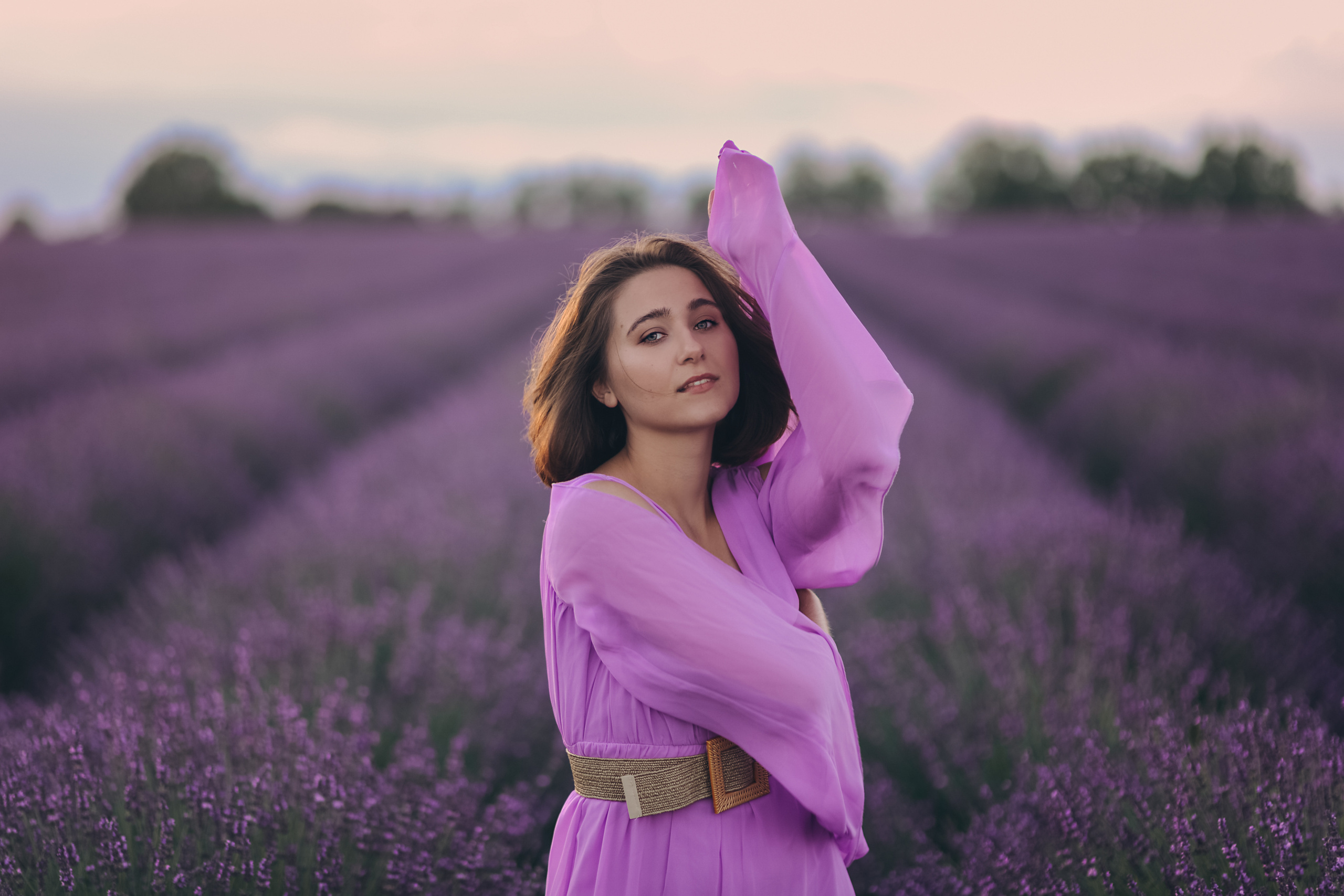 Lavender. Photographer in Provence Julia Lipiainen