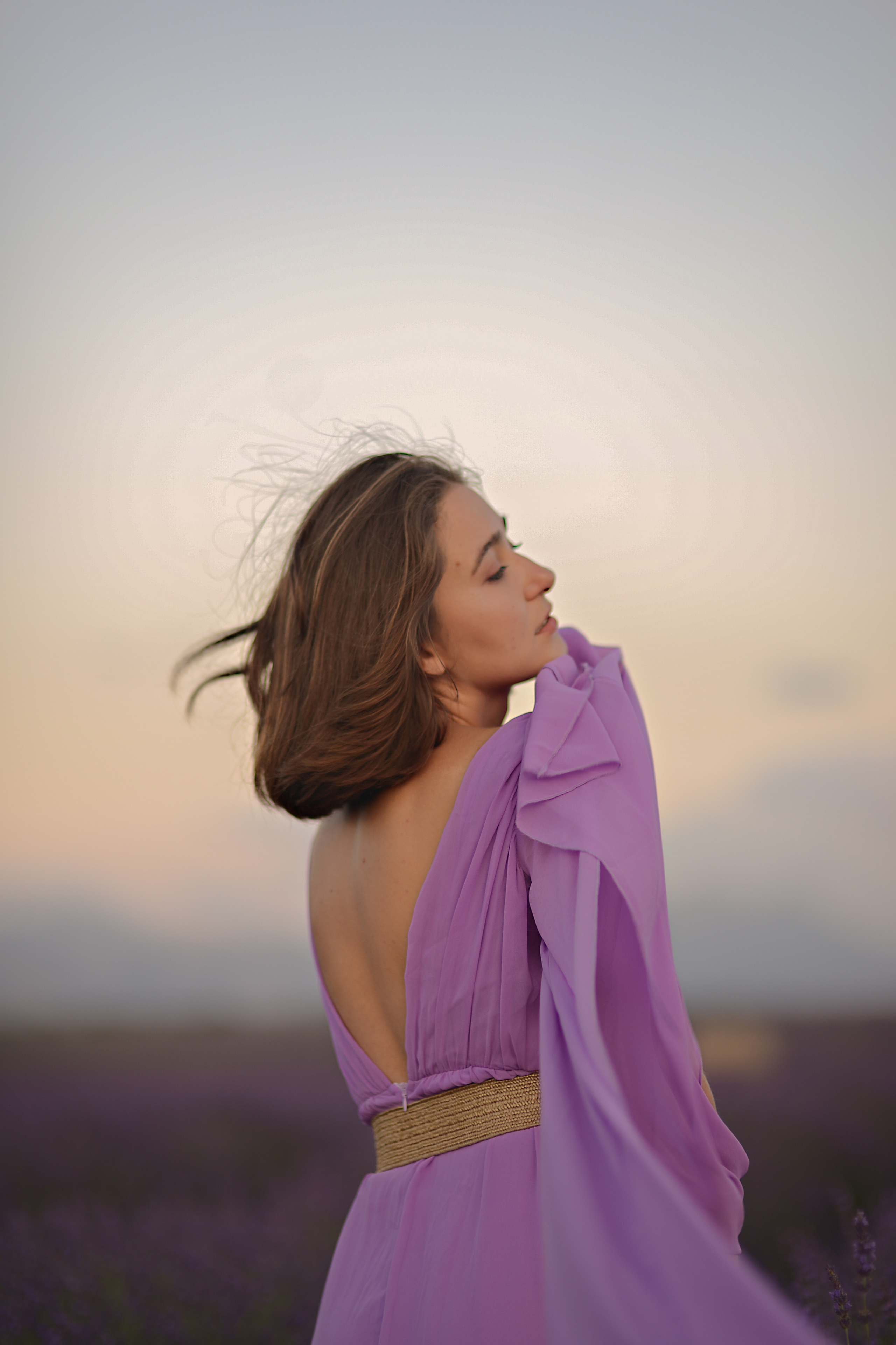 Lavender. Photographer in Provence Julia Lipiainen