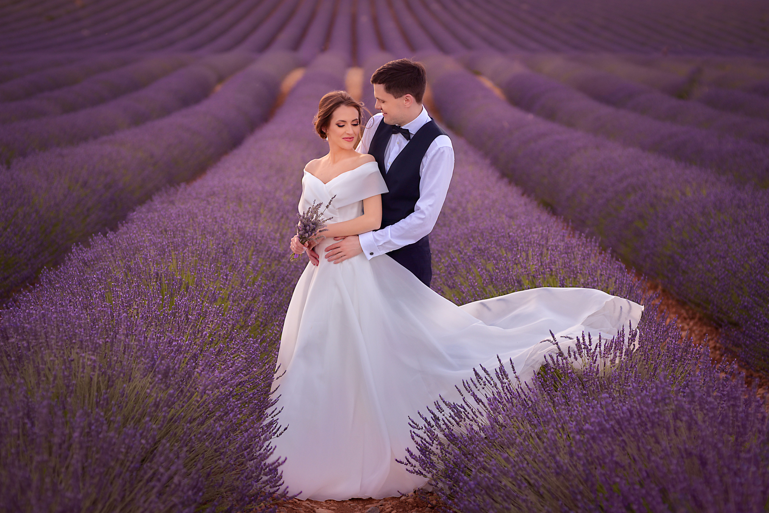 Lavender. Photographer in Provence Julia Lipiainen