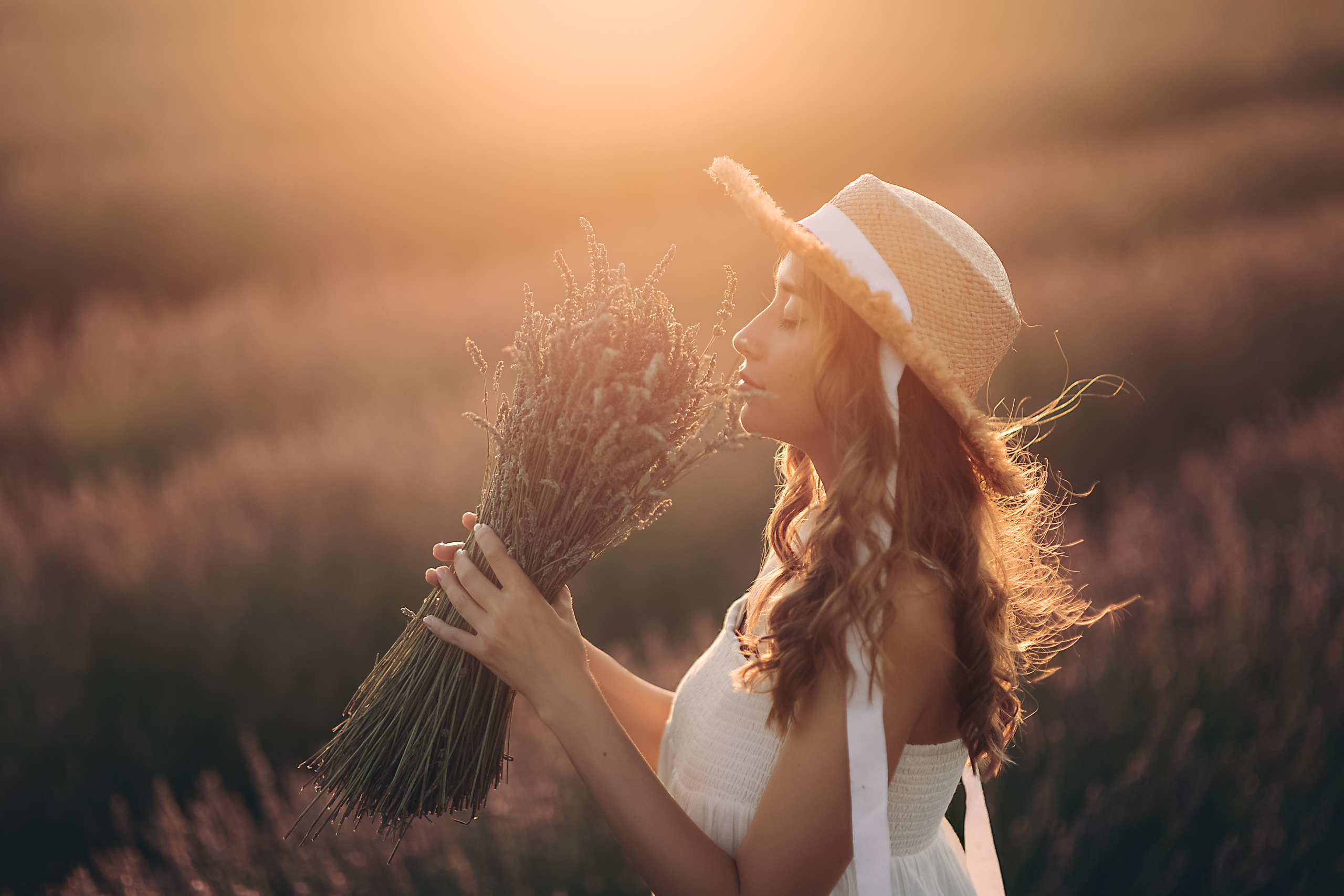 Lavender. Photographer in Provence Julia Lipiainen
