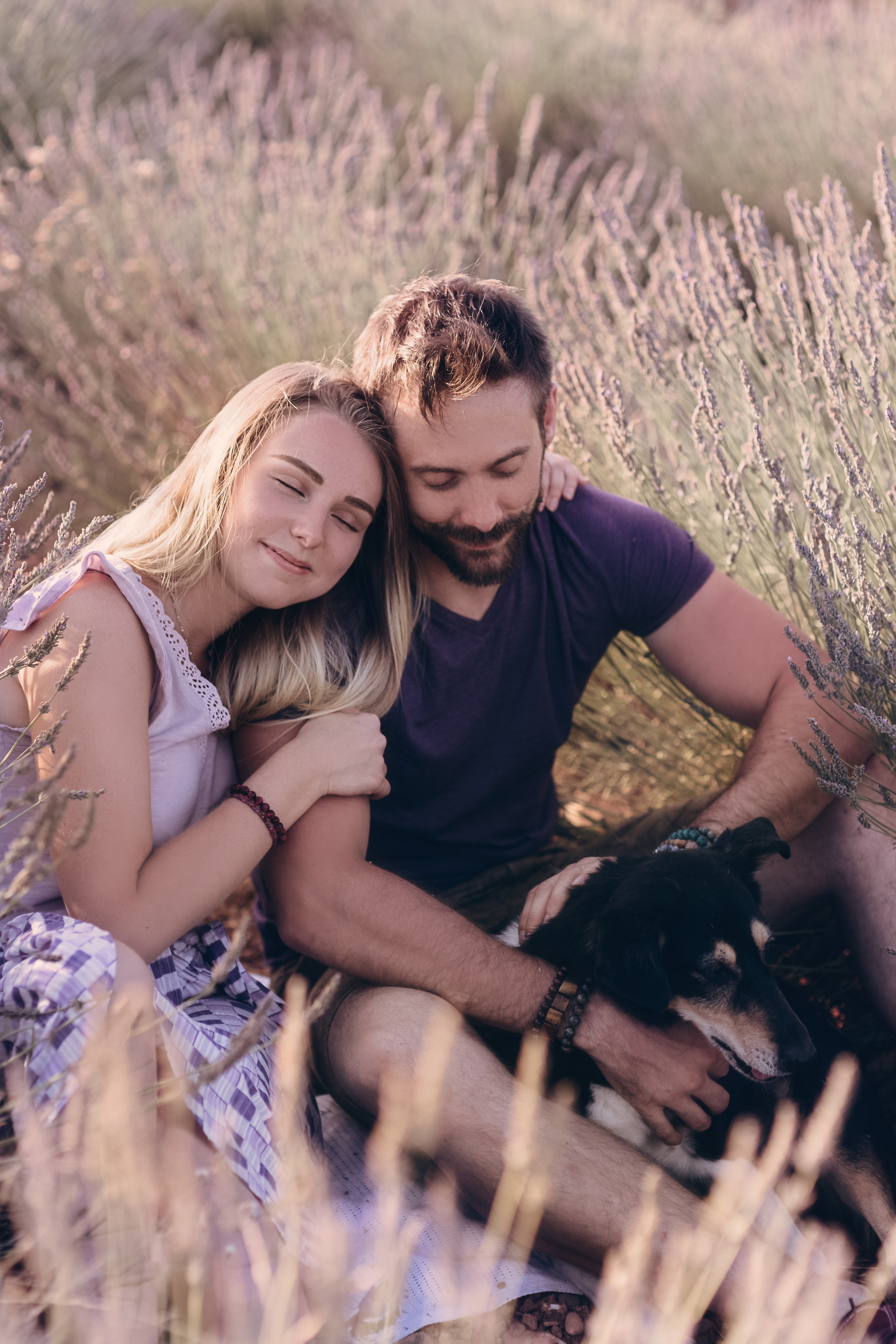 Lavender. Photographer in Provence Julia Lipiainen
