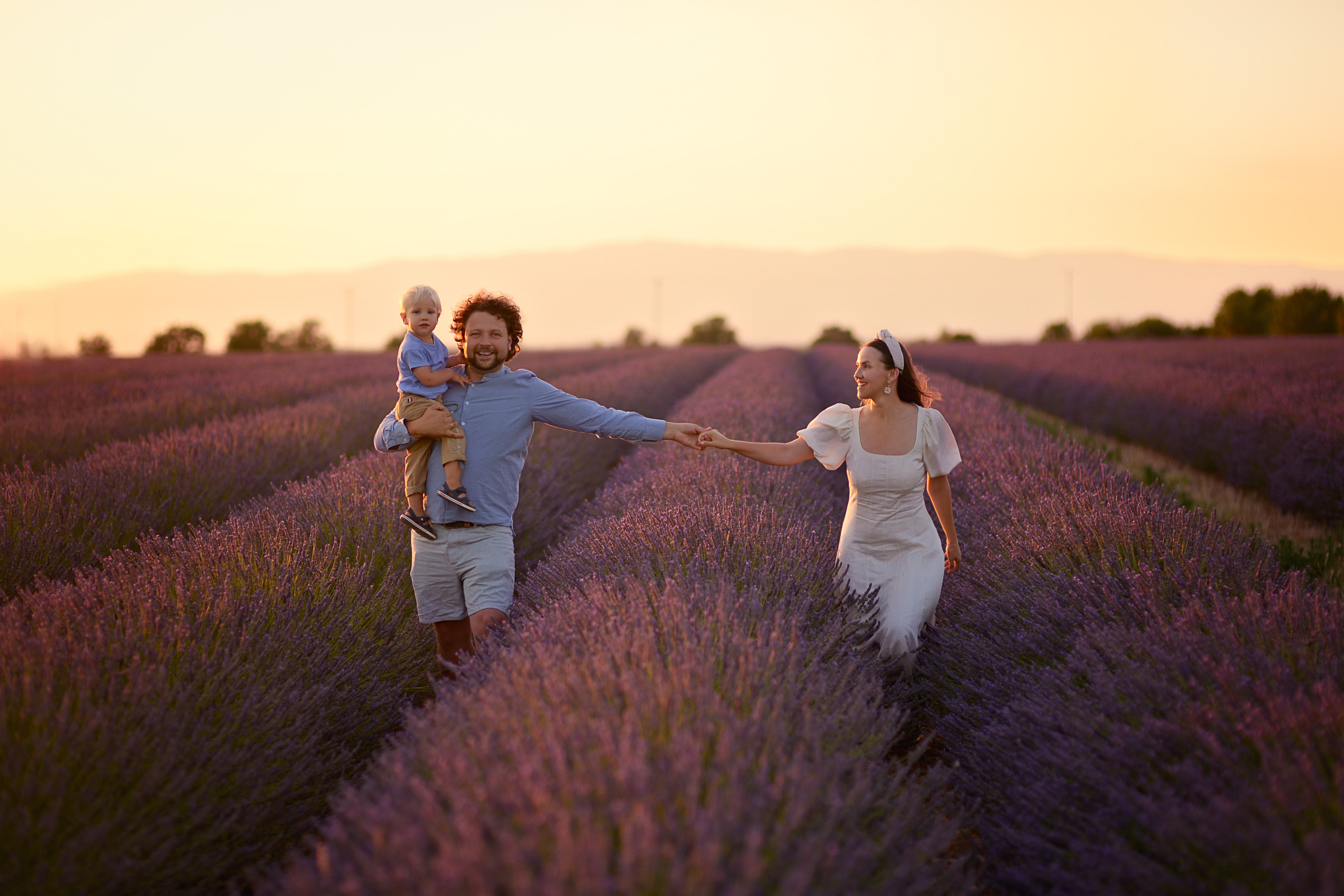 Lavender. Photographer in Provence Julia Lipiainen