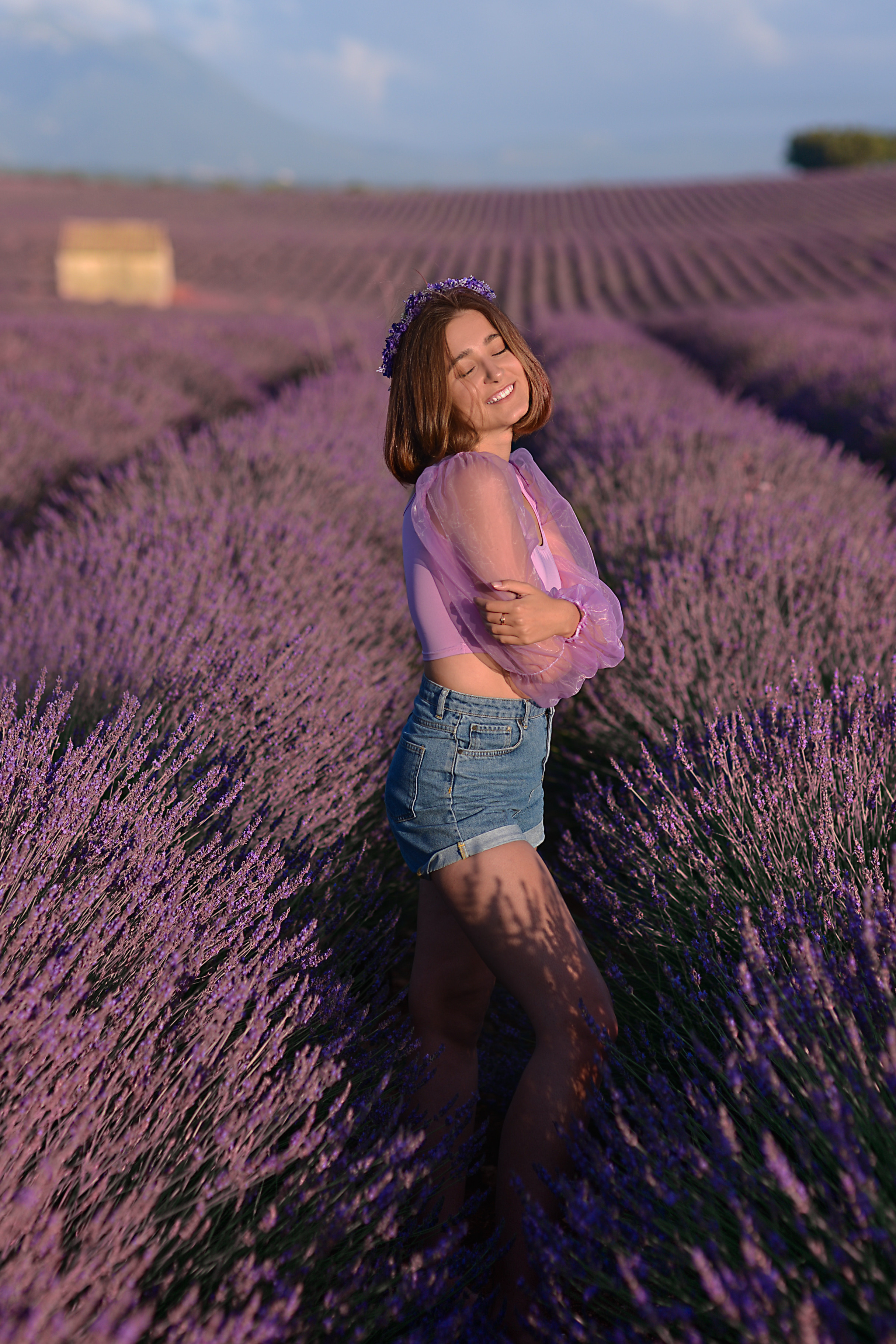 Lavender. Photographer in Provence Julia Lipiainen