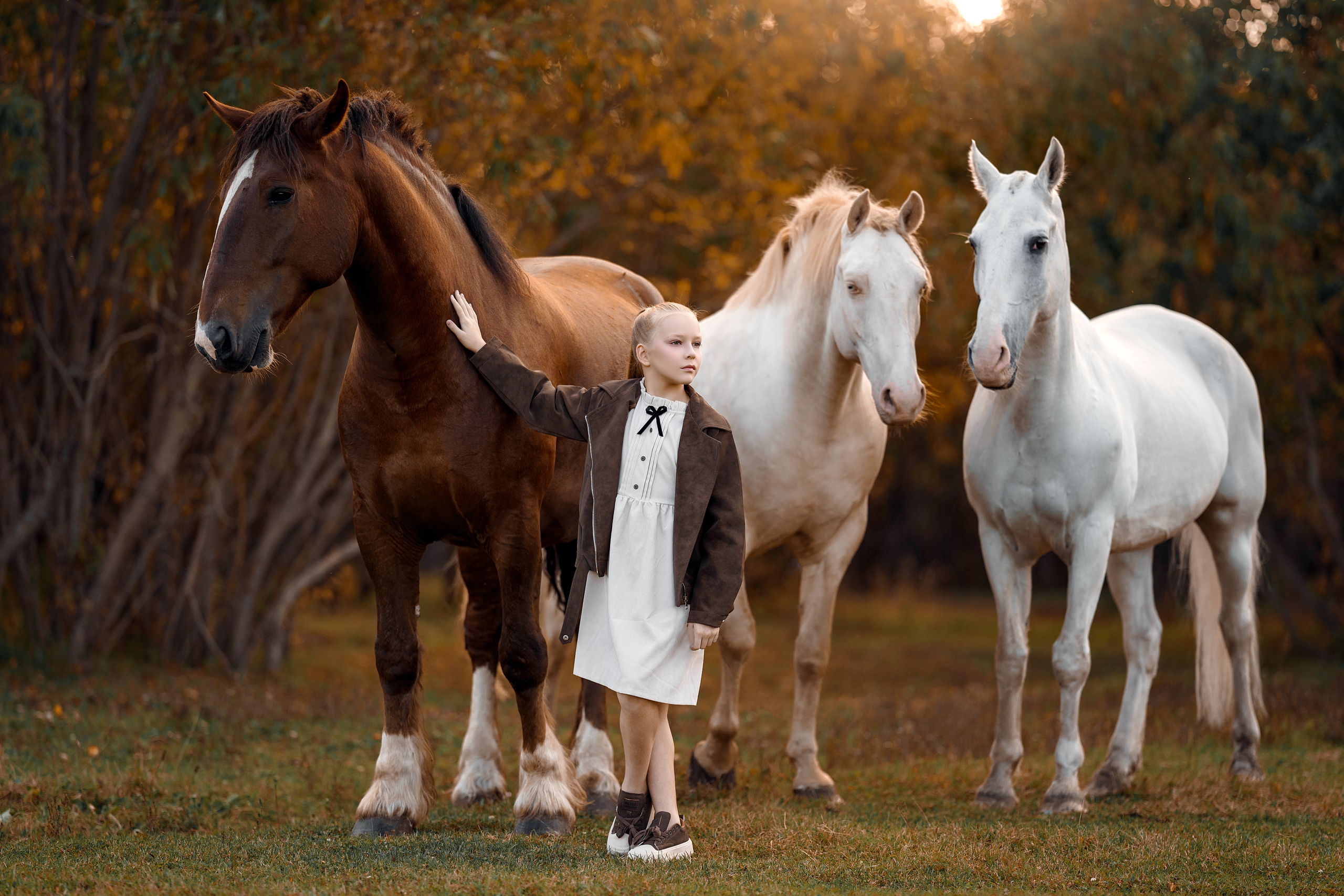 Фотосессии с лошадьми. Фотограф Артемьева Катерина|фотосессии с лошадьми