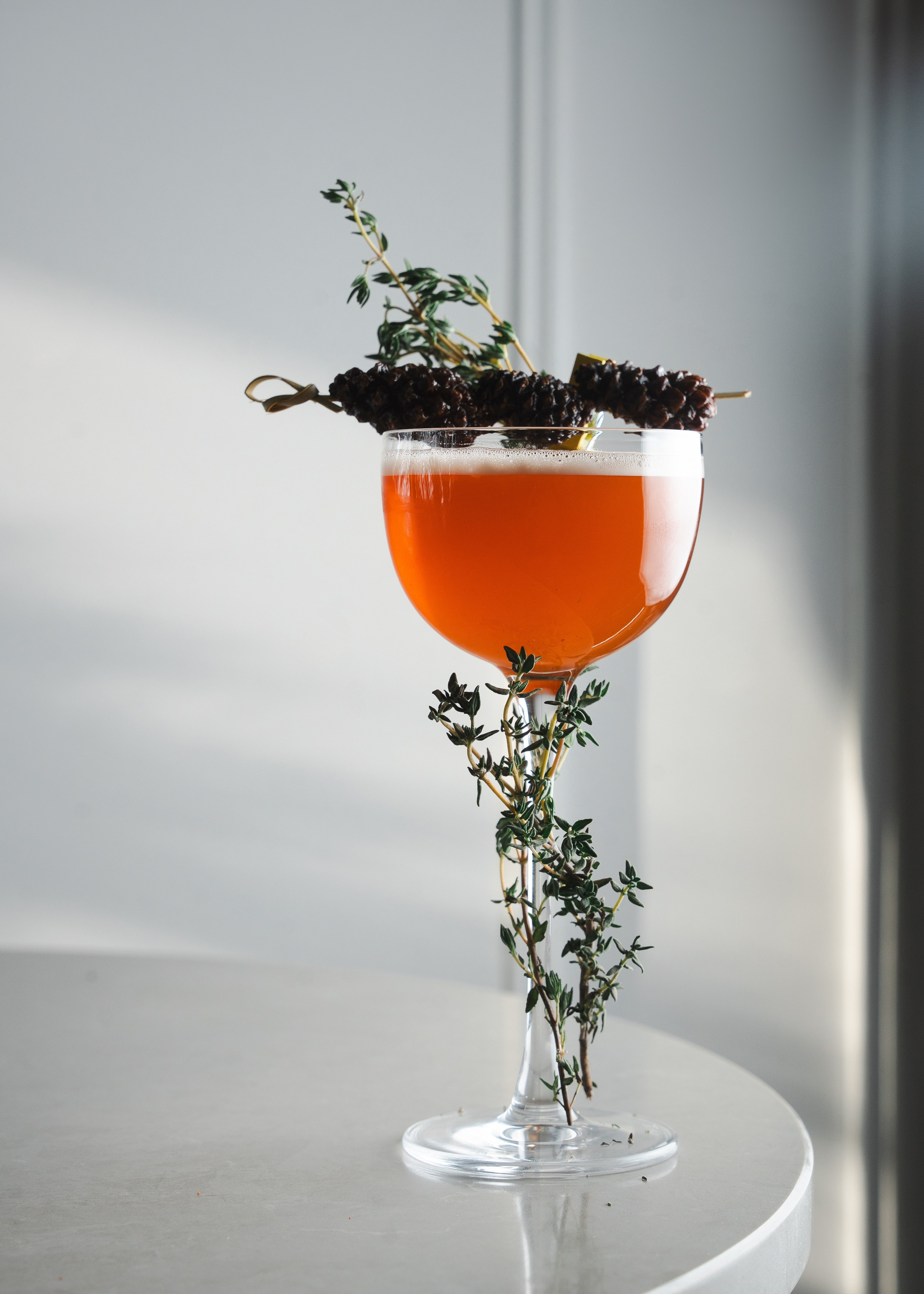 Гимлет. Фотограф Хабаровск